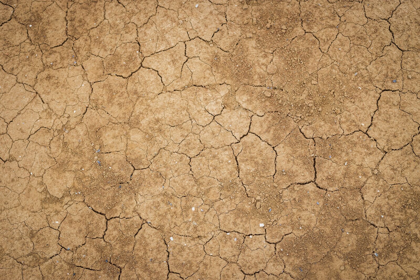 Canon EF 50mm F1.8 II sample photo. Crack, dry, land photography
