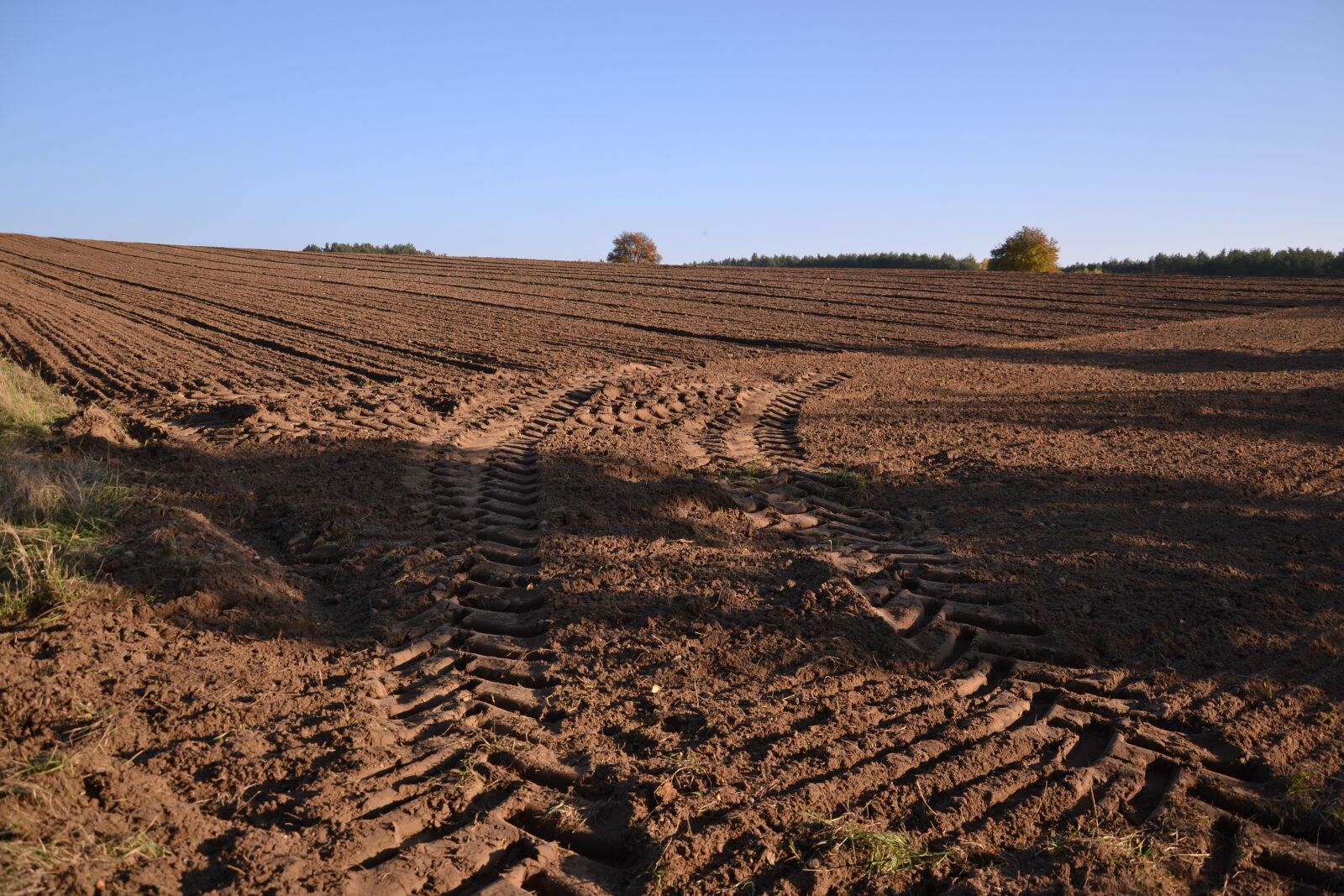 Nikon D3100 sample photo. Field, traces, tractor photography