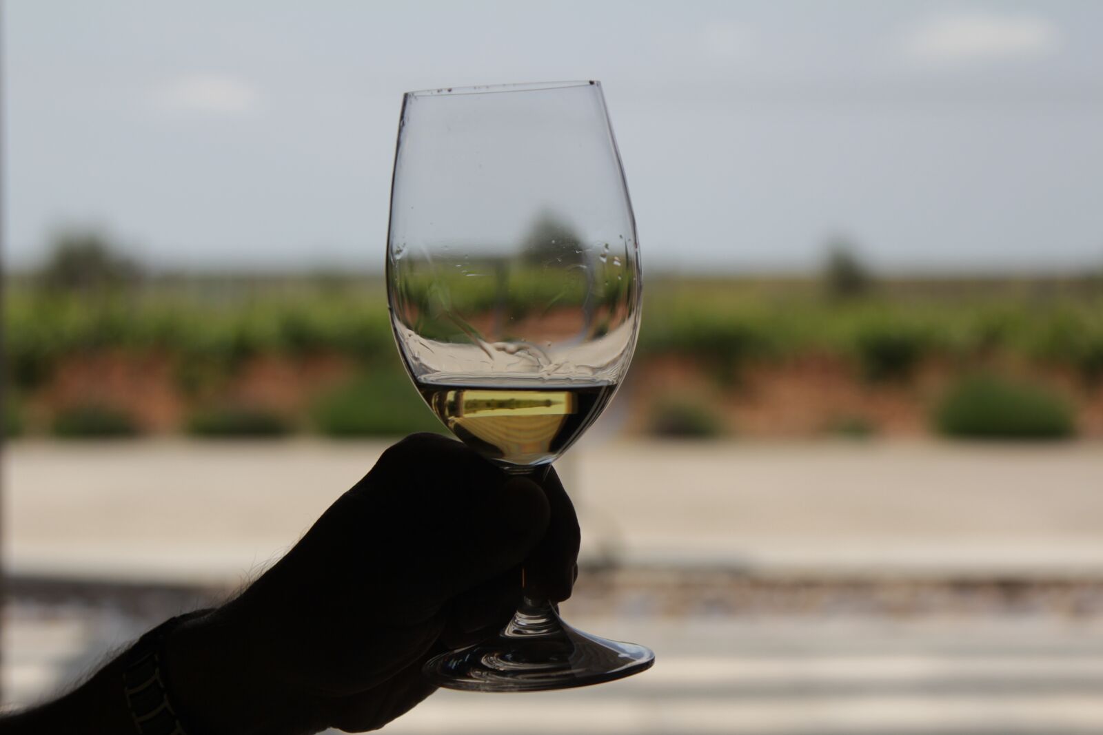 Canon EOS 60D sample photo. Wine glass, white wine photography
