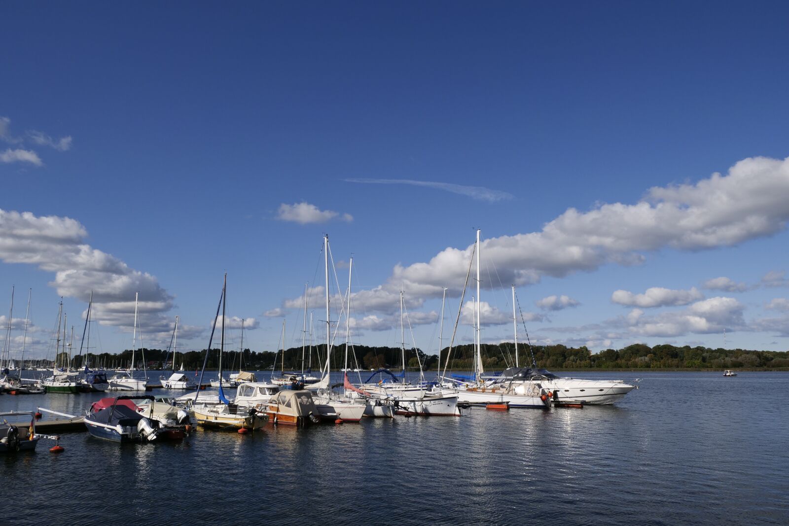 Panasonic Lumix DC-G9 sample photo. Autumn, leisure, sail photography