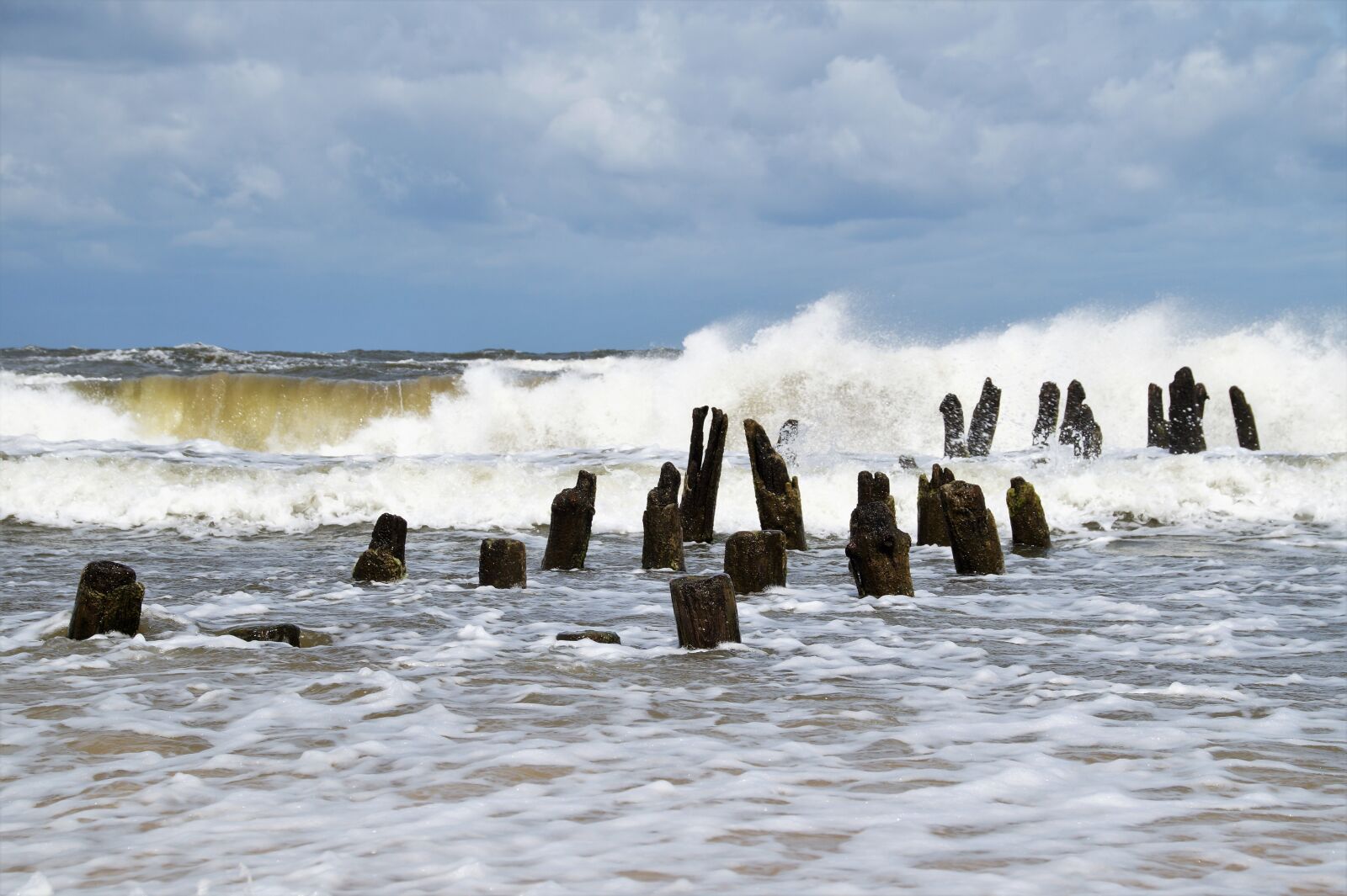 Sony SLT-A58 sample photo. Stakes, wooden, breakwater photography