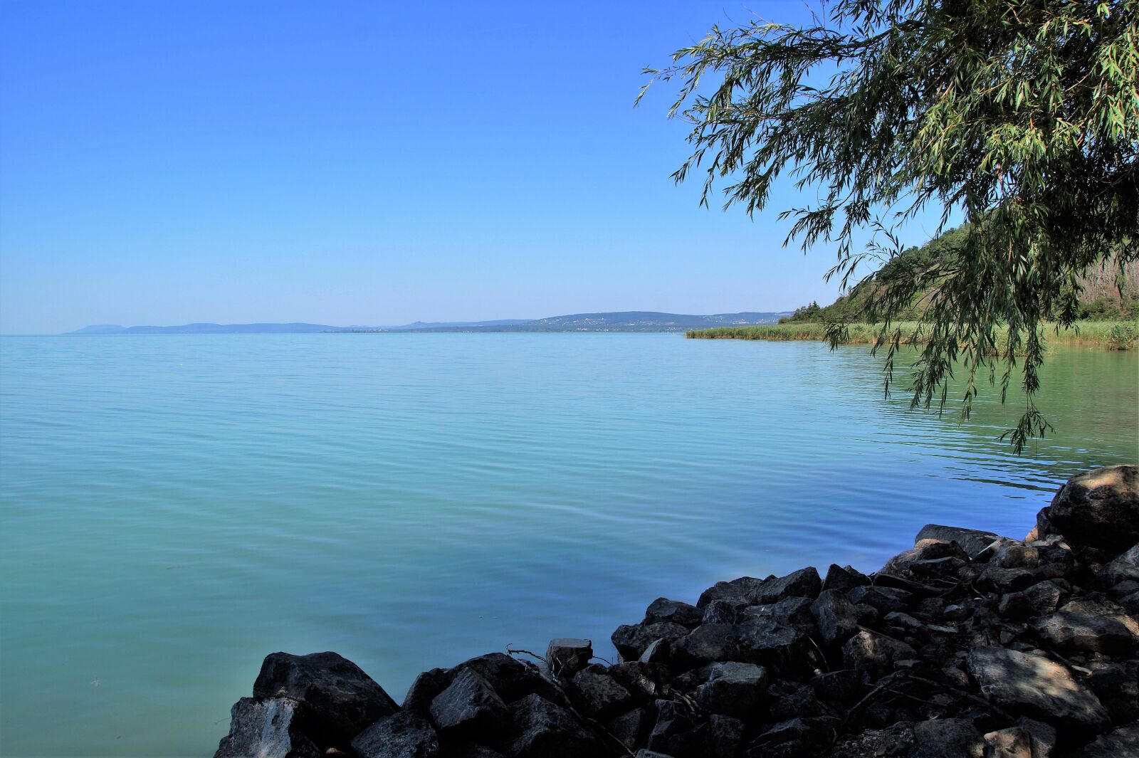 Sony SLT-A58 sample photo. Lake, balaton, water area photography
