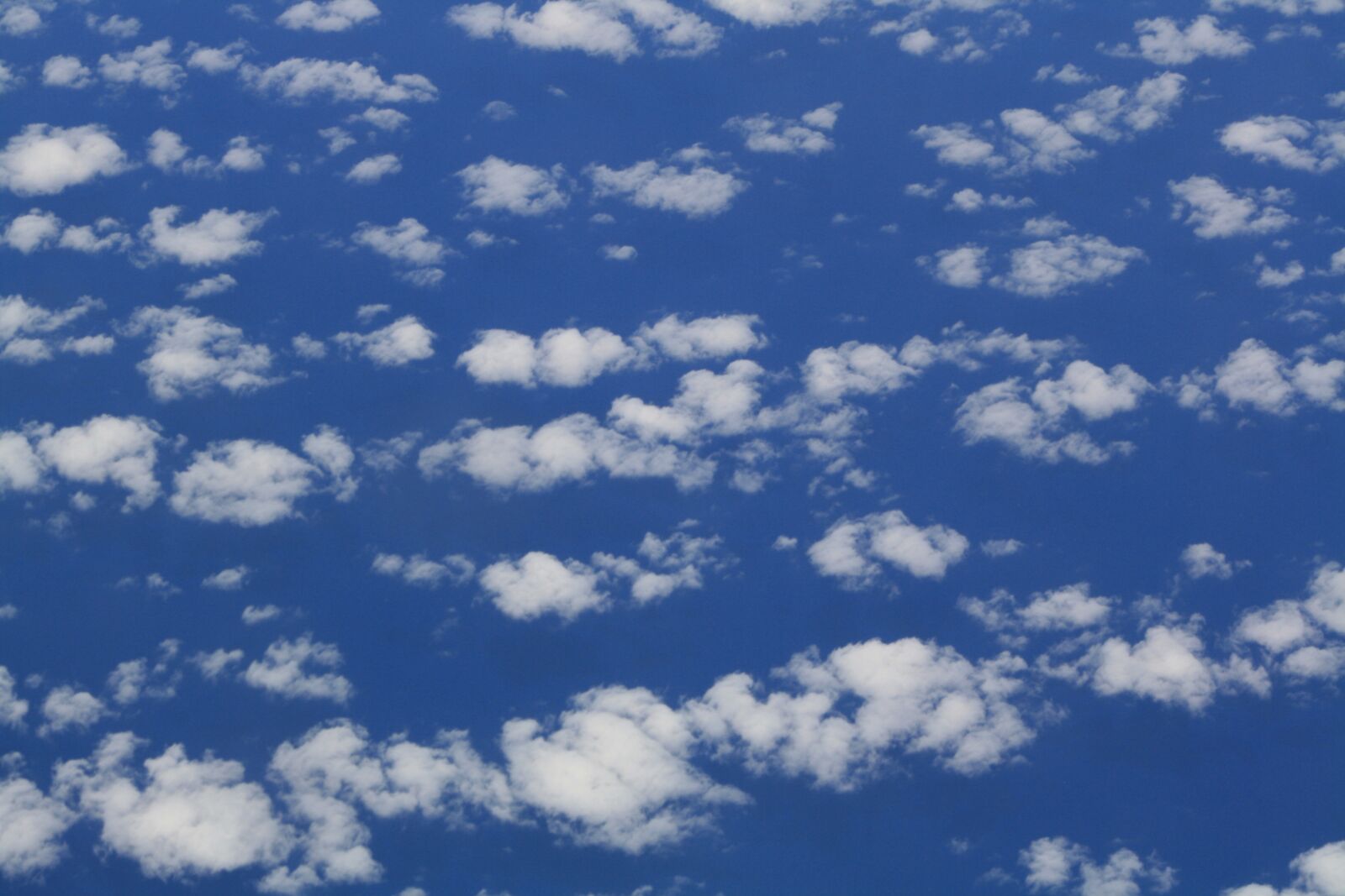 Canon EOS 1000D (EOS Digital Rebel XS / EOS Kiss F) sample photo. Above clouds, clouds, blue photography