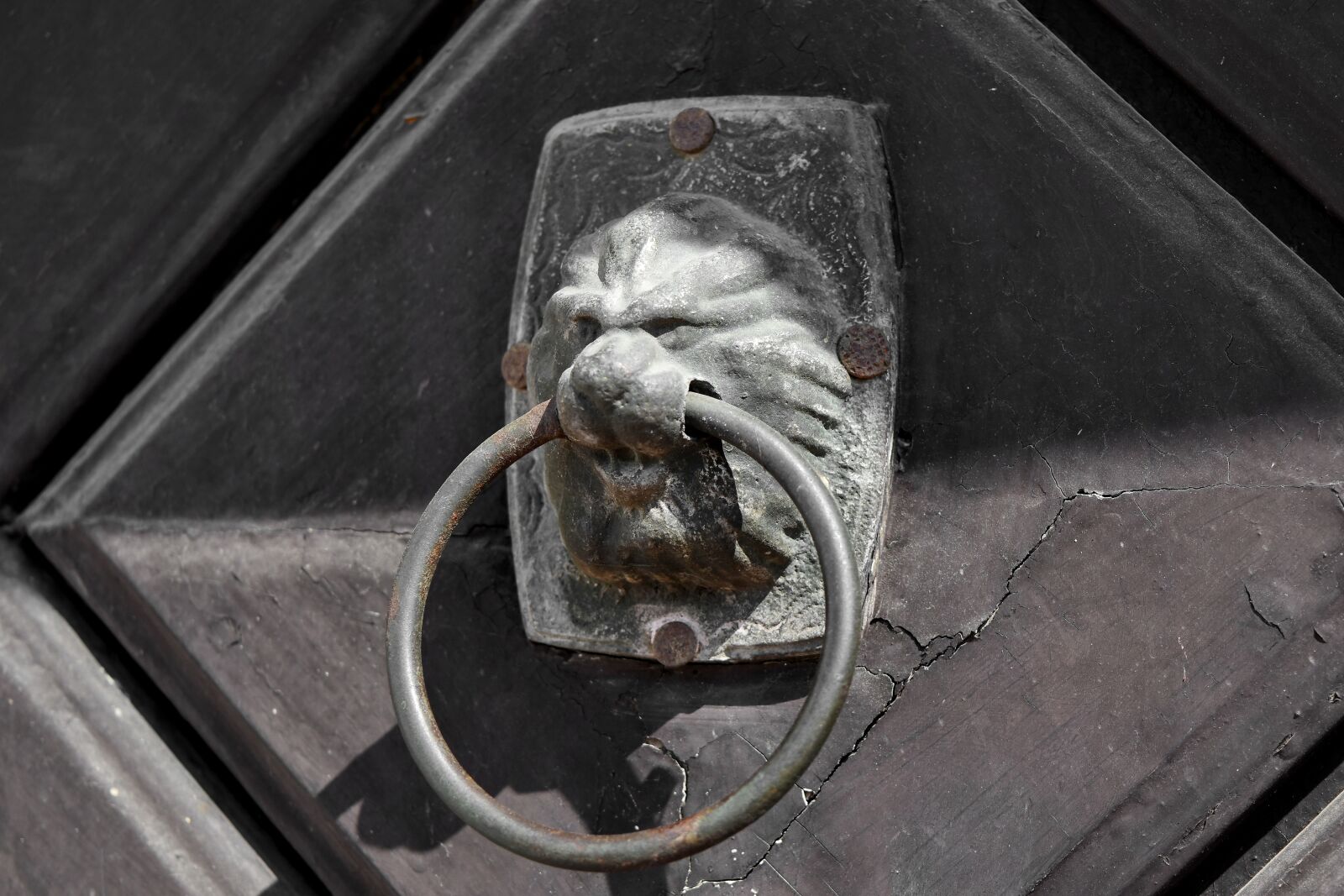 Nikon D5500 sample photo. Alloy, cast iron, front photography
