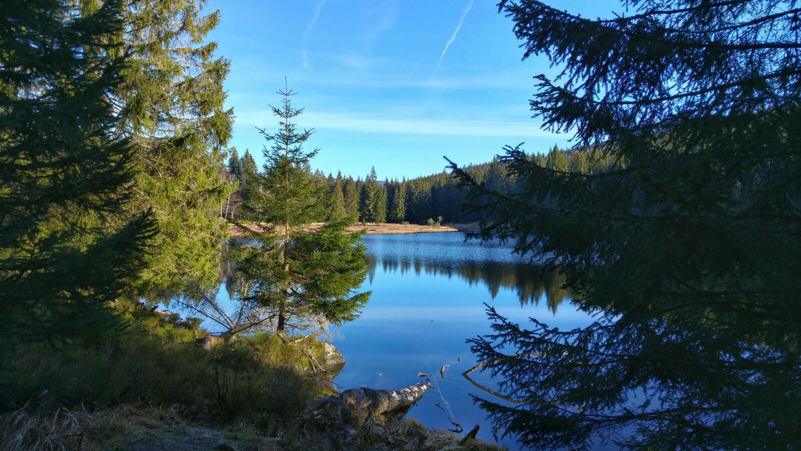 LG G4 sample photo. Arber, arbersee, lake photography