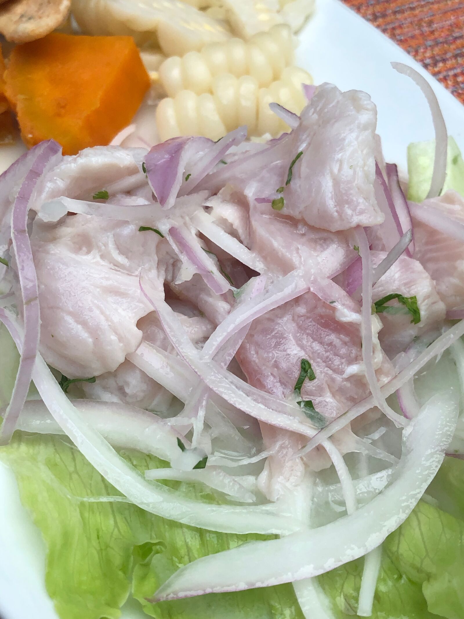 iPhone 8 Plus back dual camera 3.99mm f/1.8 sample photo. Ceviche, sea food, sweet photography