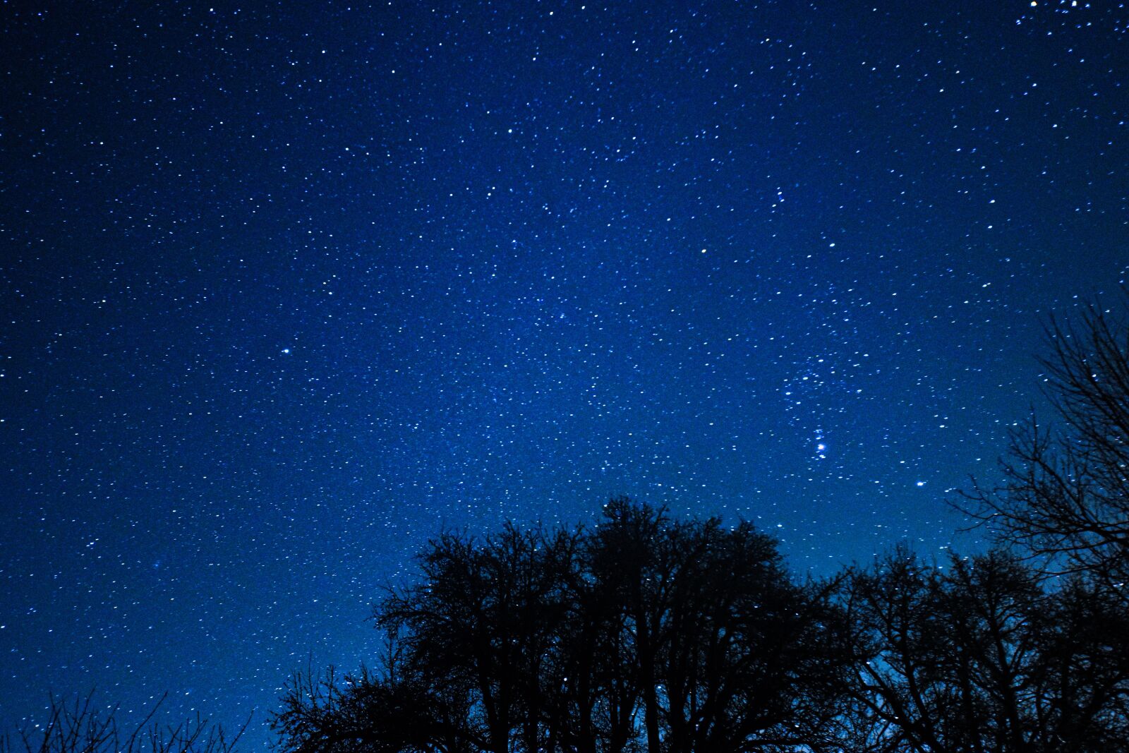 Nikon D5600 sample photo. Starry sky, star, night photography