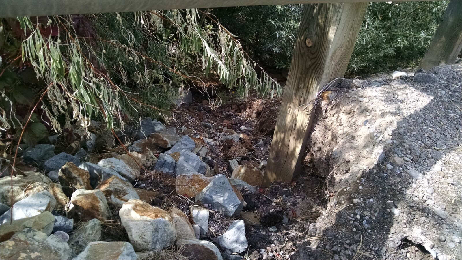 Motorola XT1080 sample photo