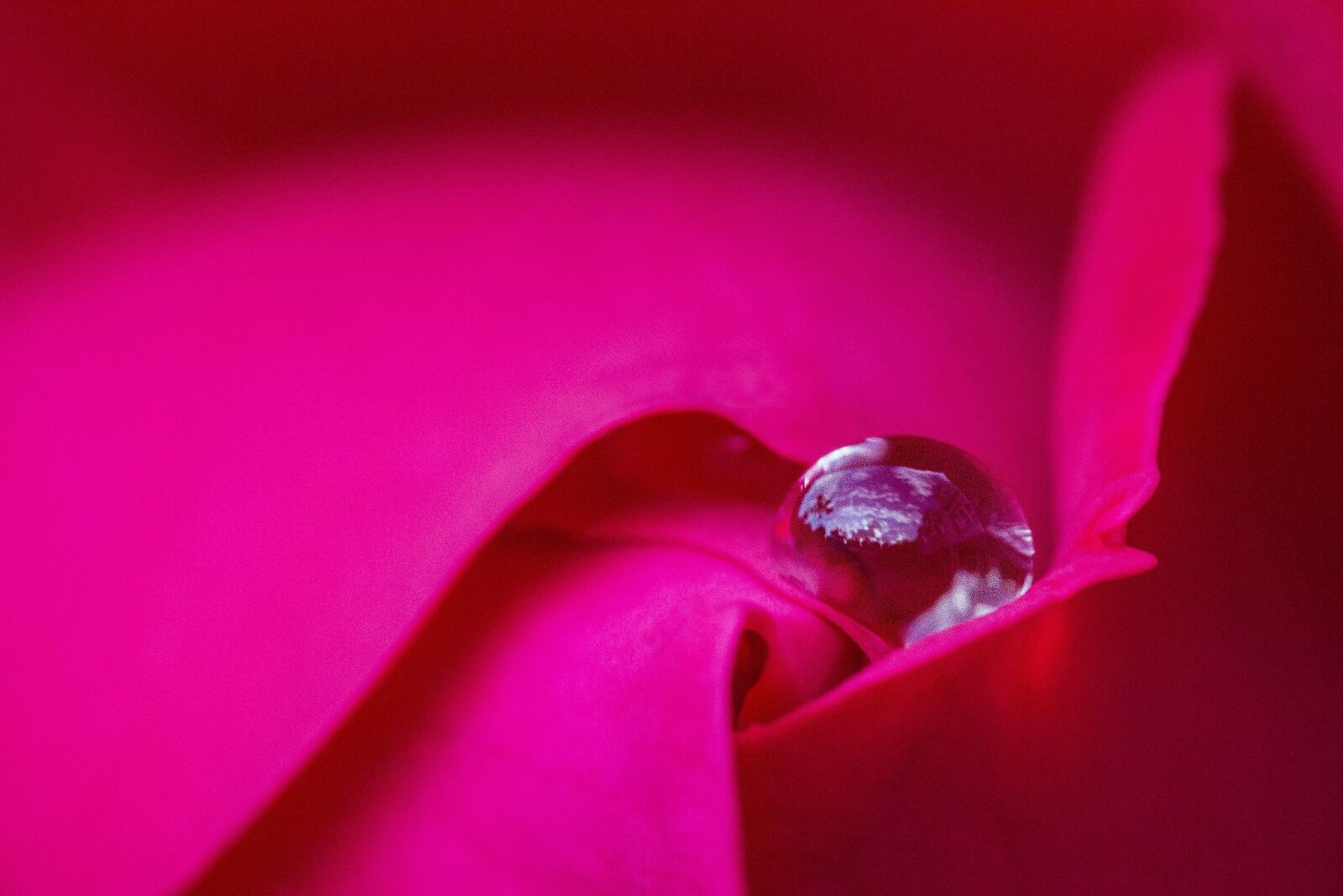 Canon EOS 7D sample photo. Nature, water, reflection photography