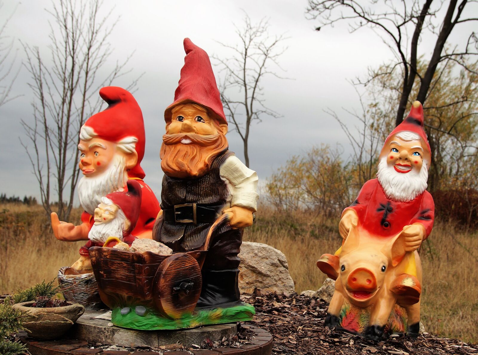 Sony SLT-A58 sample photo. Dwarf, garden, decoration photography
