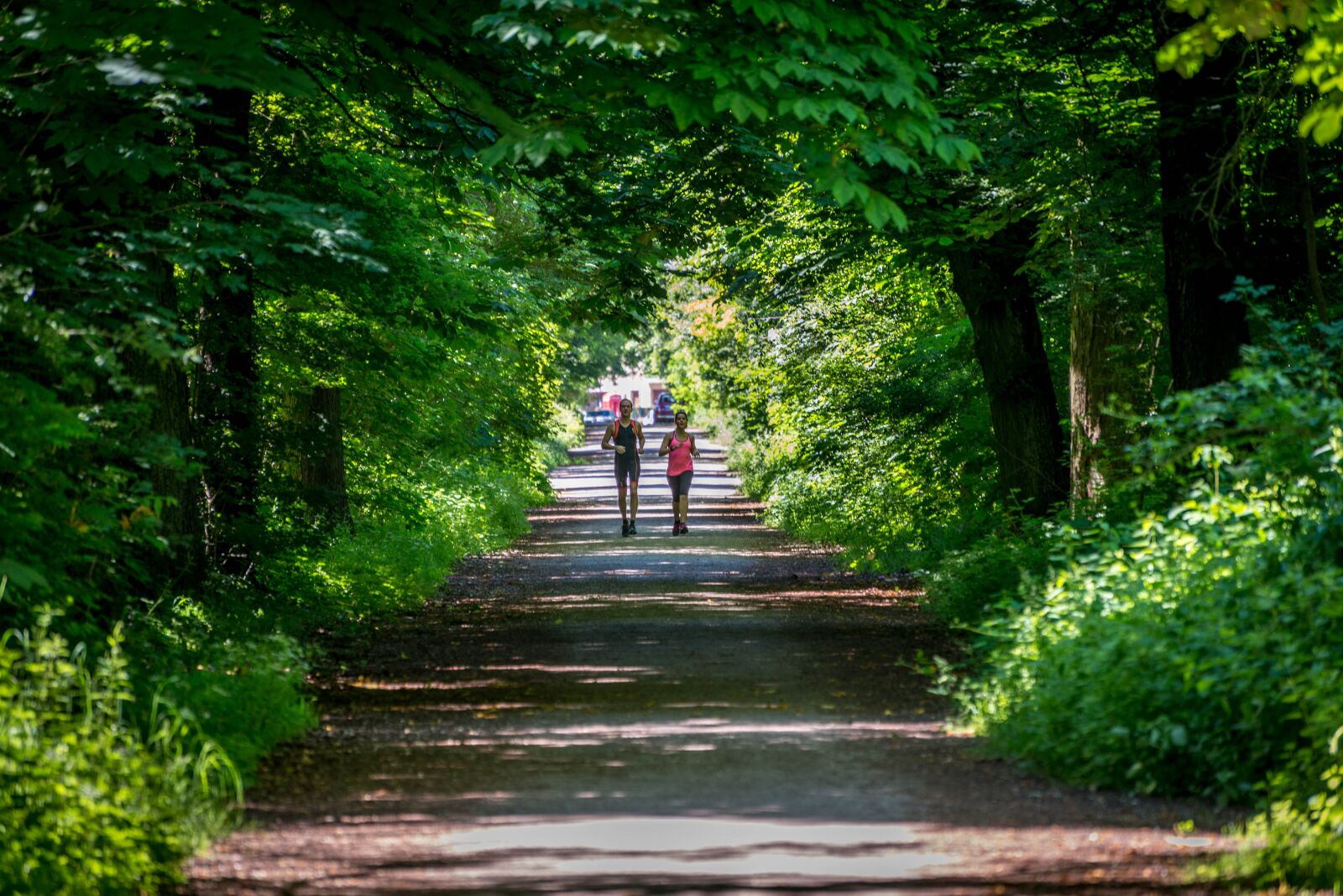 Nikon D600 sample photo. Wood, couple, summer photography
