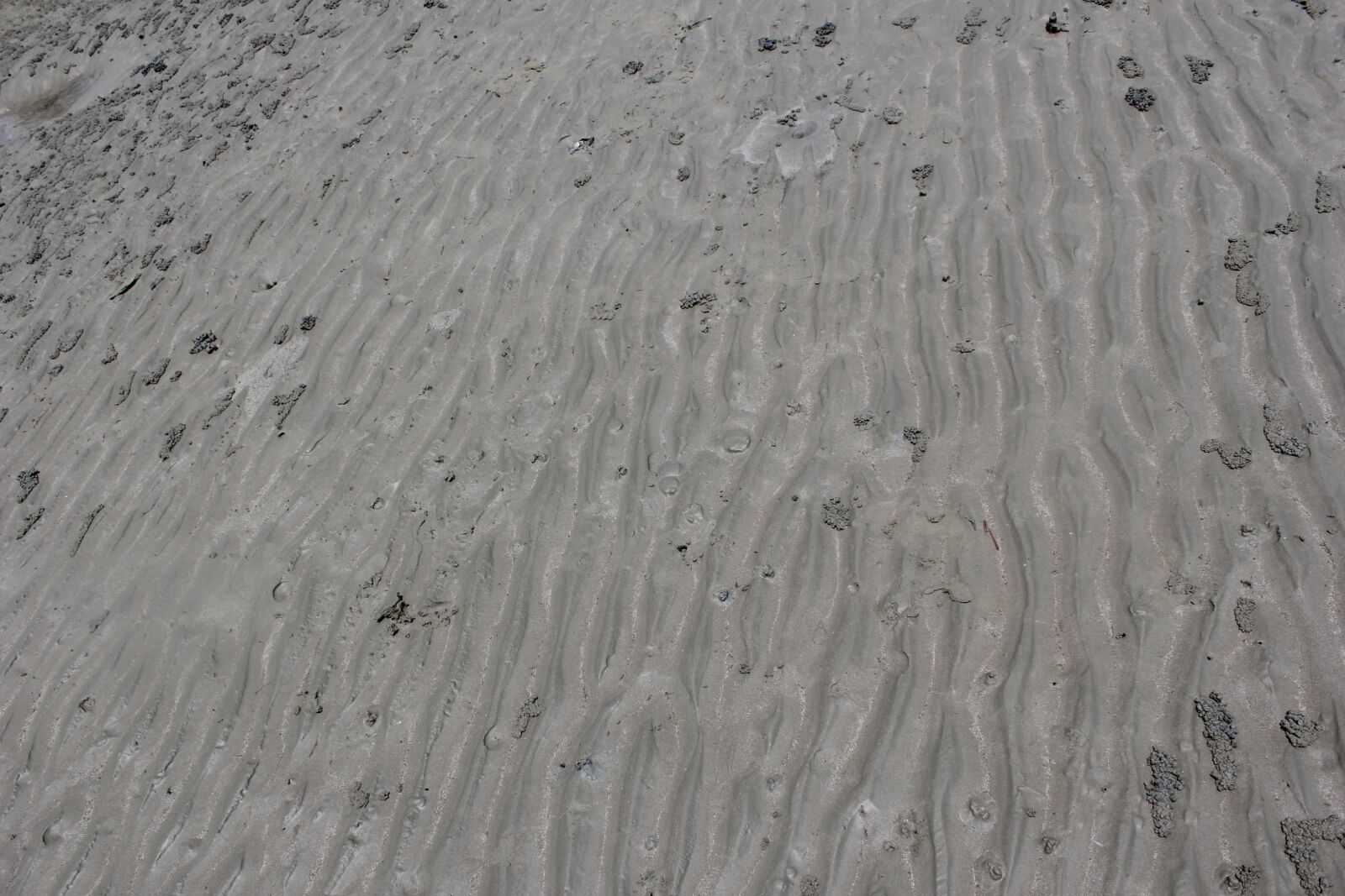 Canon EOS 60D sample photo. Sand, sea, beach photography