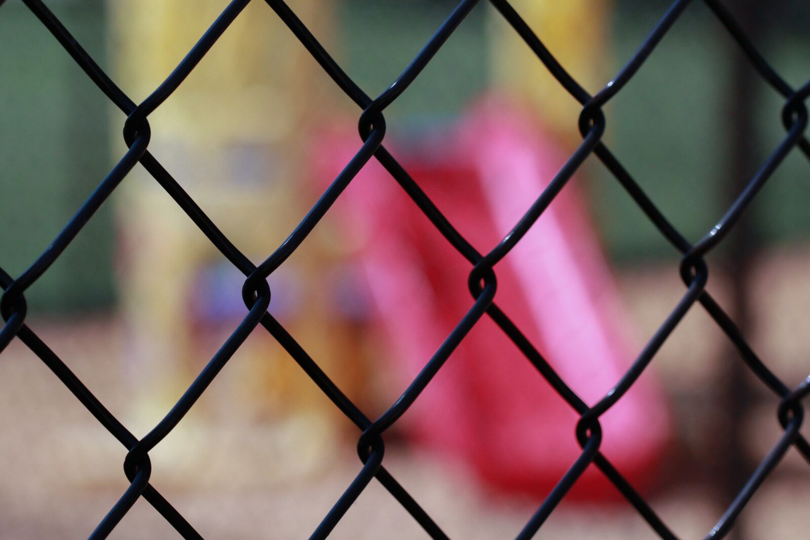 Canon EF 100mm F2.8L Macro IS USM sample photo. Fence, grid, games photography