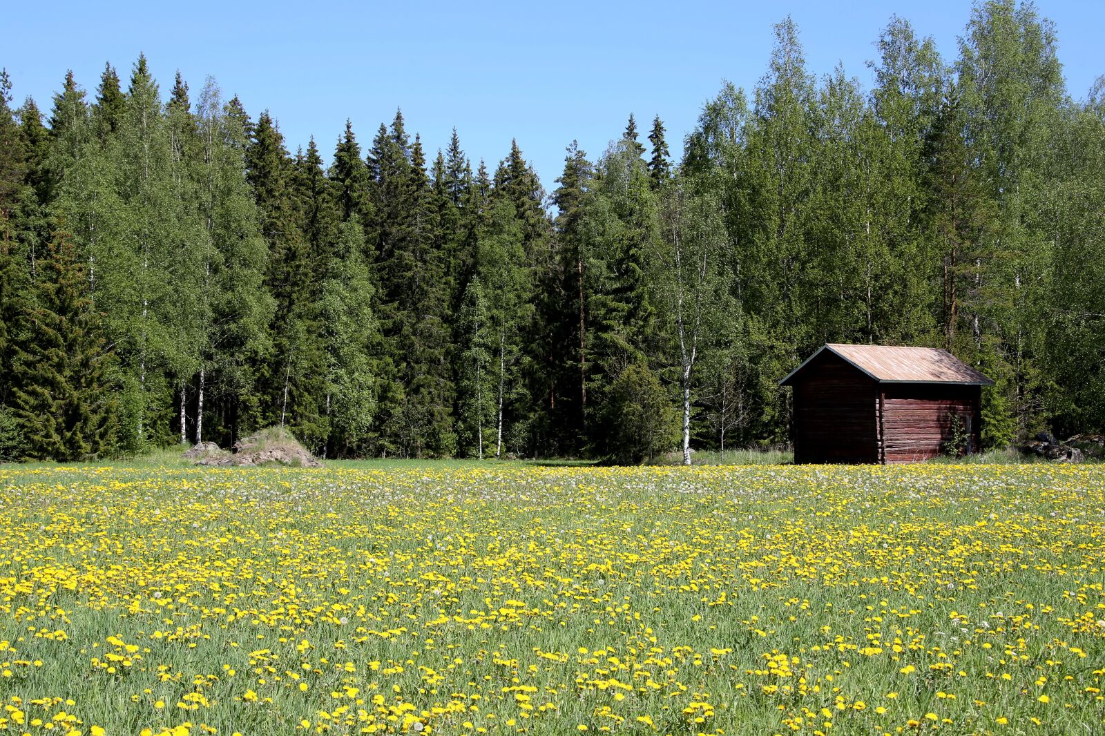 Canon EF 28-300mm F3.5-5.6L IS USM sample photo. Summer, field, countryside photography