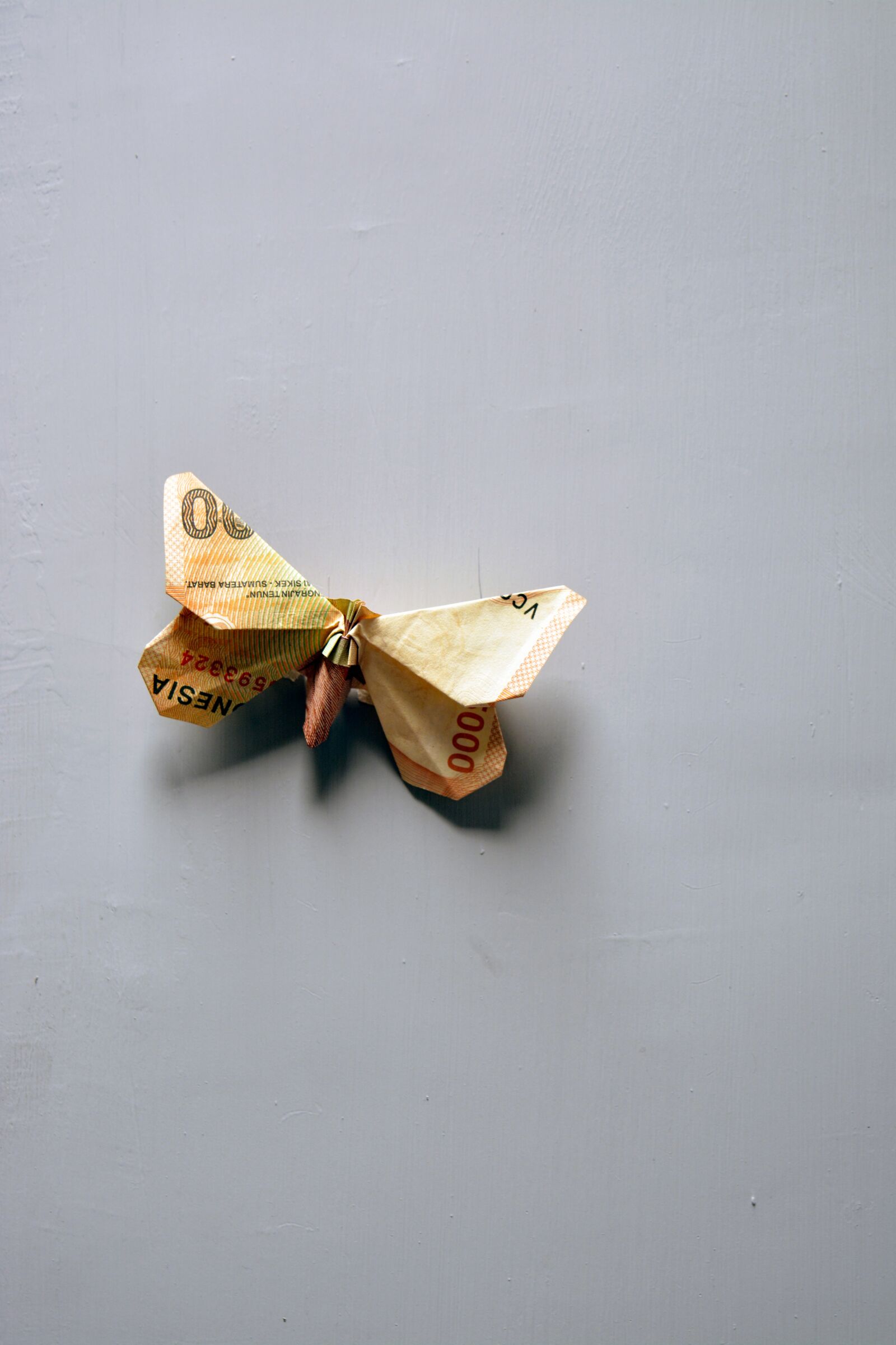 Nikon D5200 sample photo. Origami, butterfly, money photography