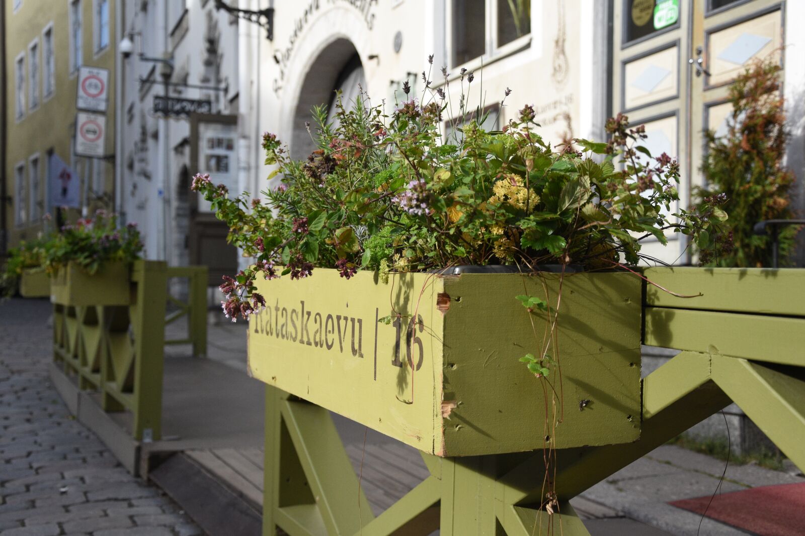 Nikon D5500 sample photo. Herbs, box, cobbles photography