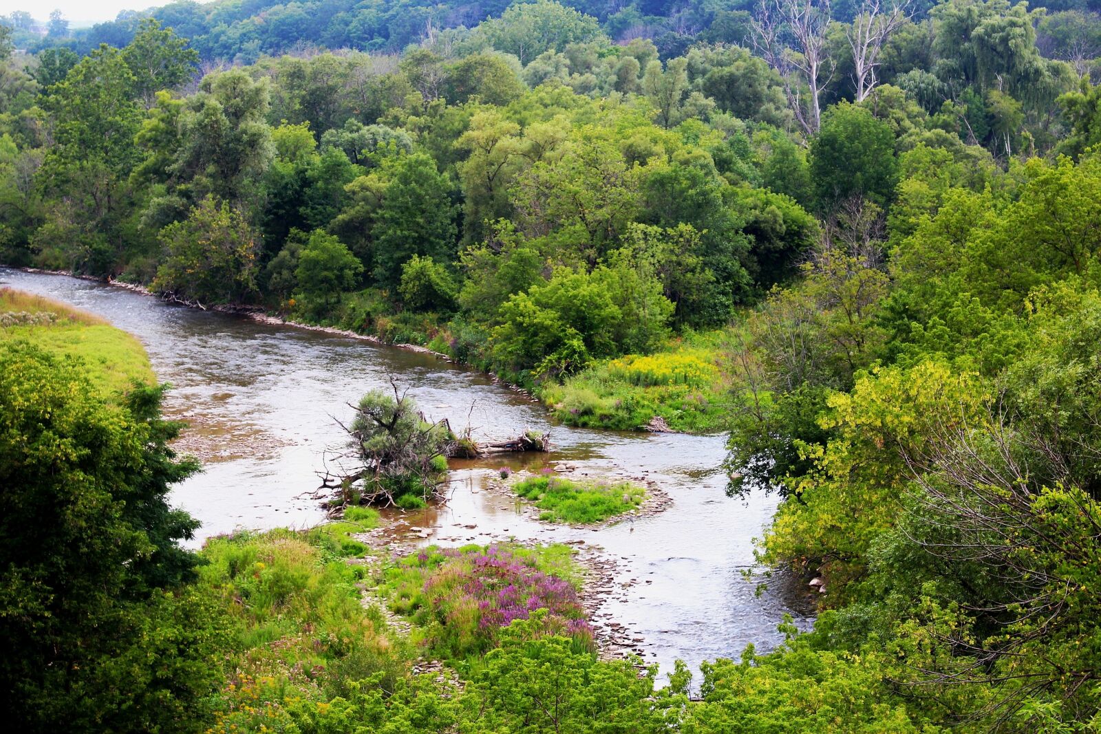 Canon EOS 700D (EOS Rebel T5i / EOS Kiss X7i) sample photo. Vegetation, view, landscape photography