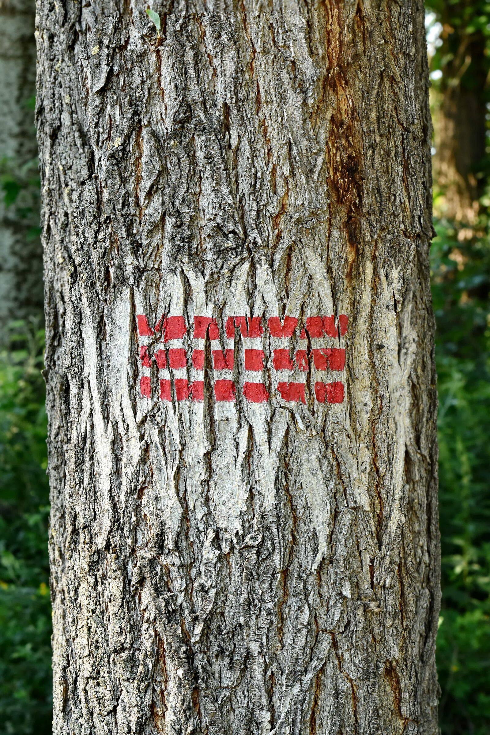 Nikon D5500 sample photo. Mark, marker, marking, sign photography