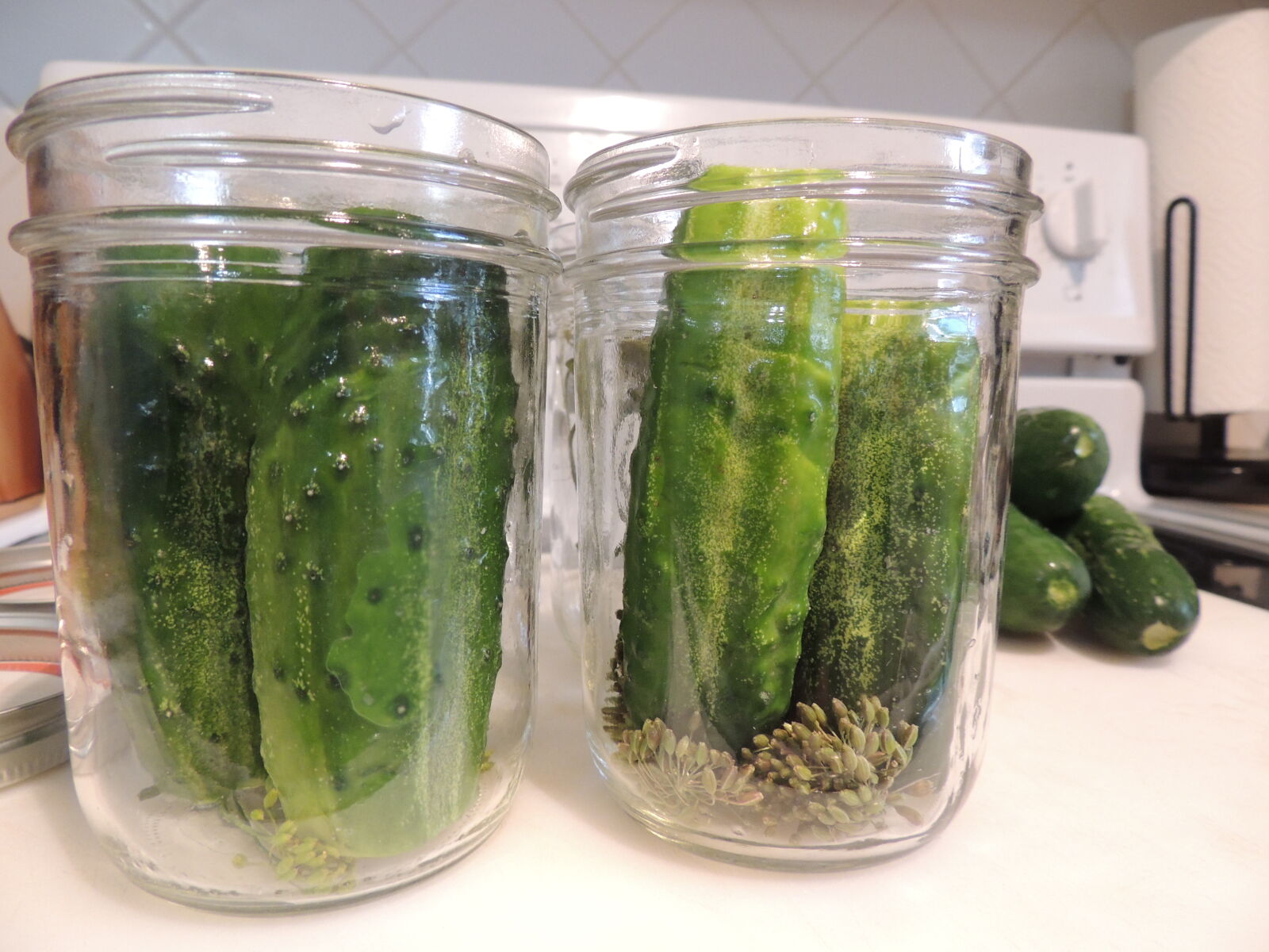Nikon Coolpix P510 sample photo. Canning, jars, cucumbers, dill photography