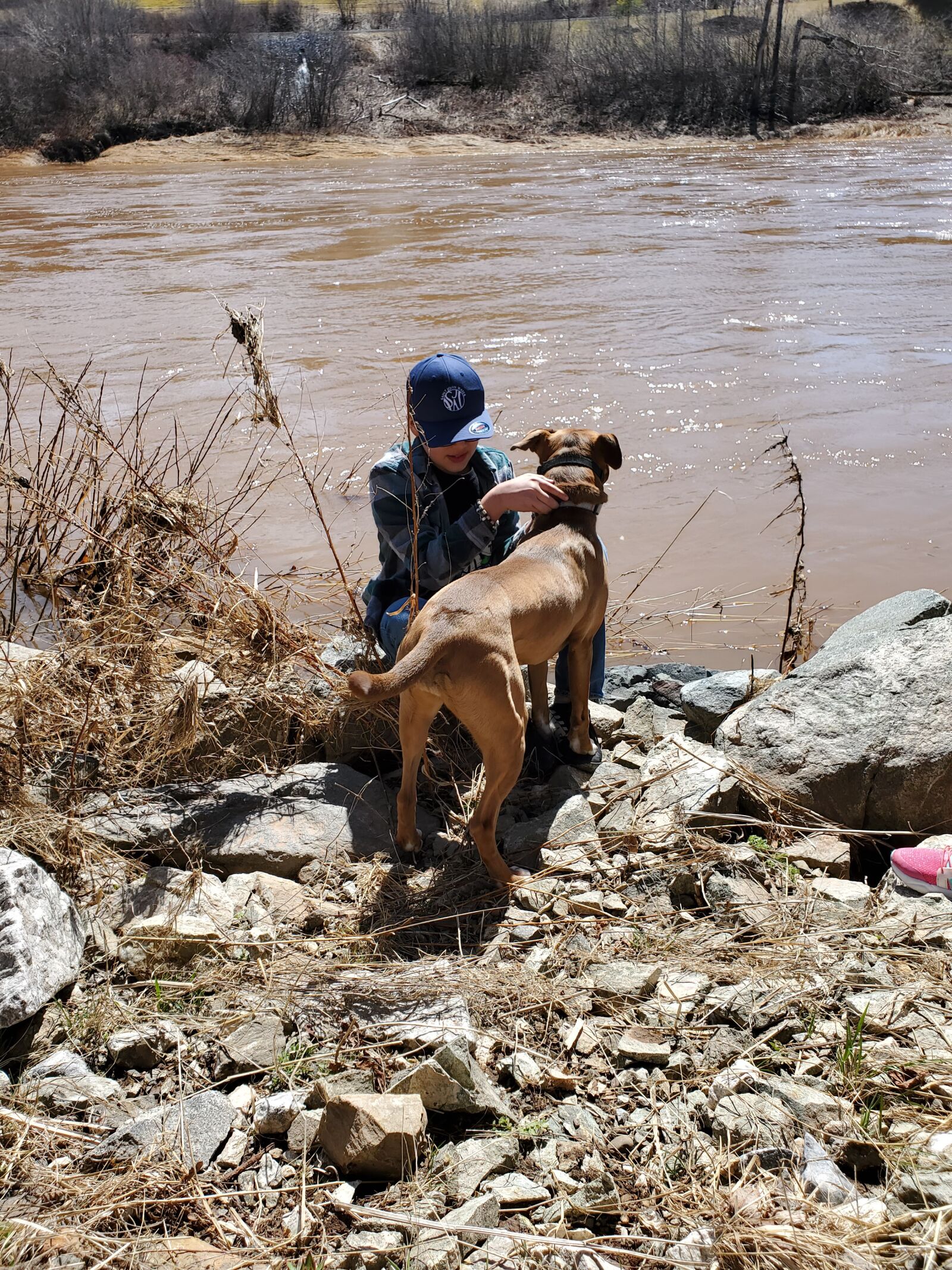 Samsung Galaxy S10 sample photo. River, dog, lover photography