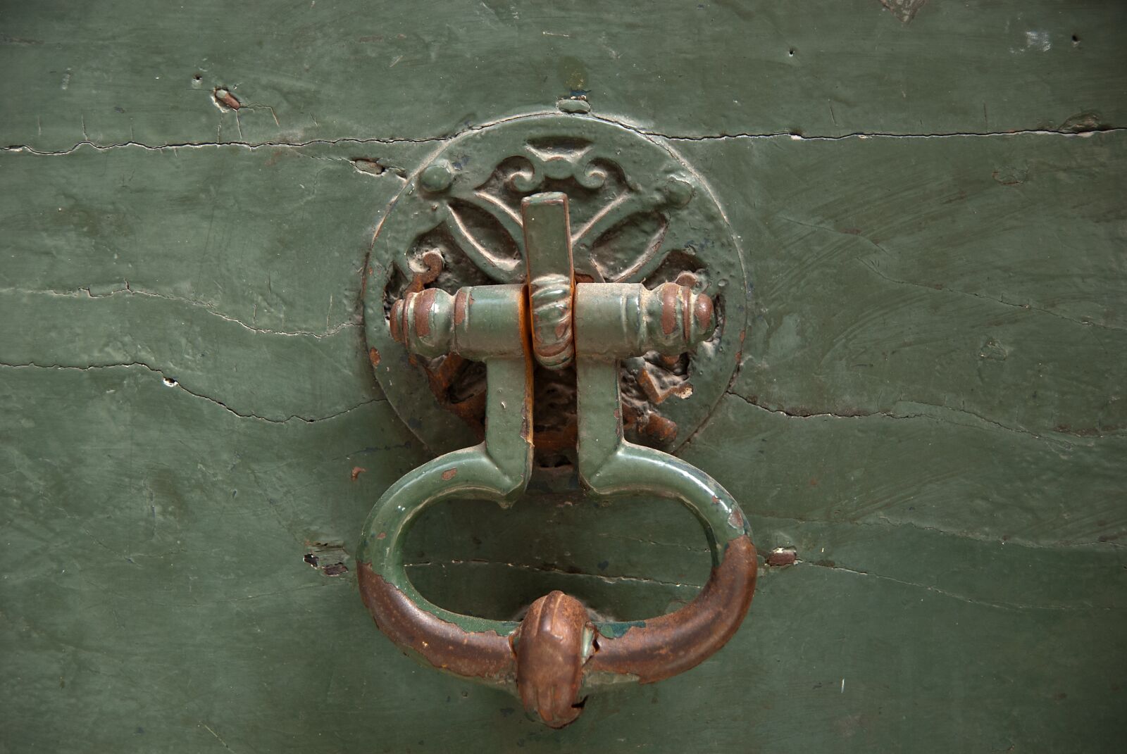 Nikon D200 sample photo. Doorknocker, vintage, green photography
