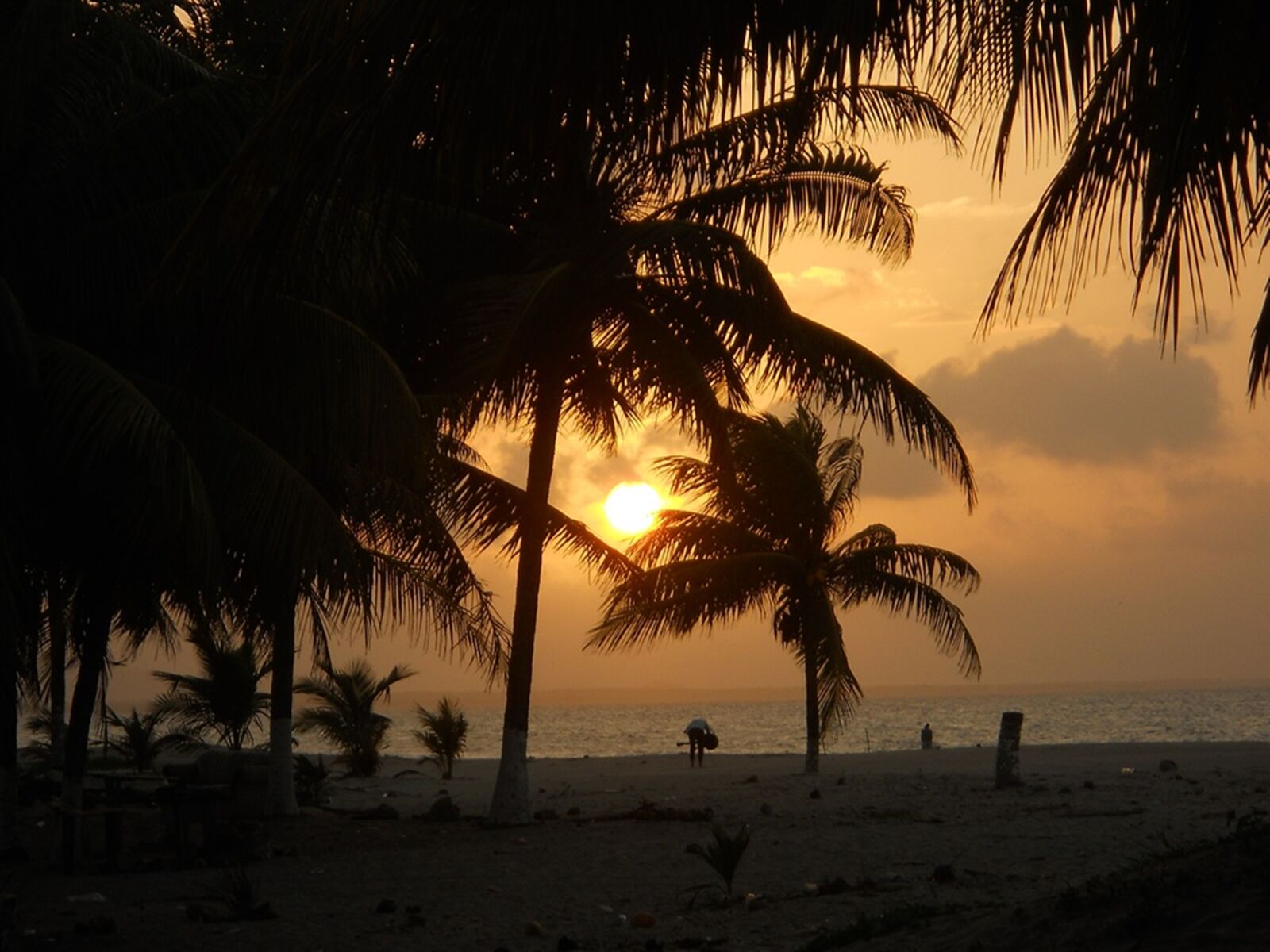 Nikon Coolpix L22 sample photo. Beach, evening, sky, palms photography