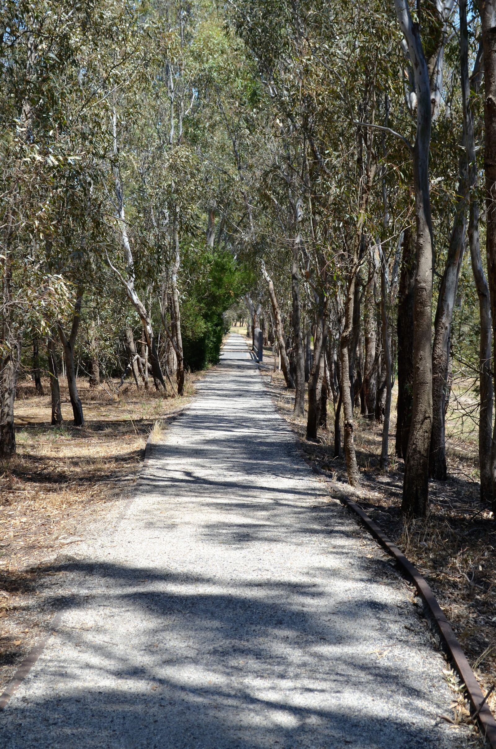Nikon D5100 sample photo. Bike, path, travel photography