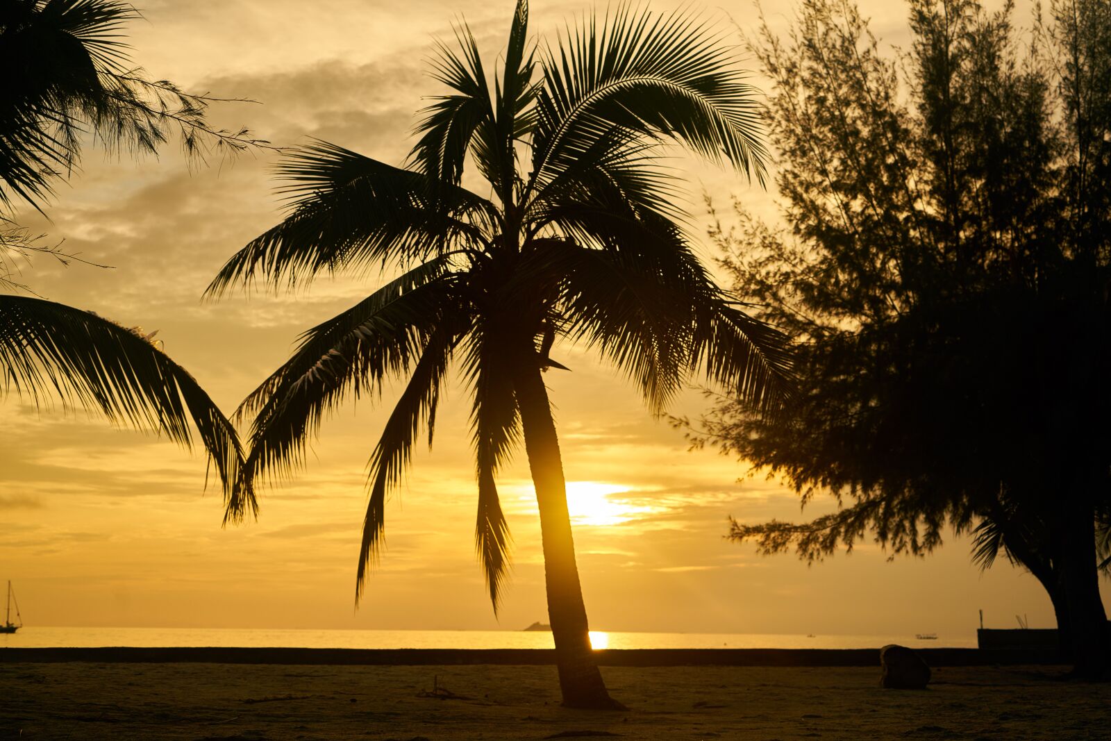 Sony a7R II sample photo. Landscape, nature, beach photography