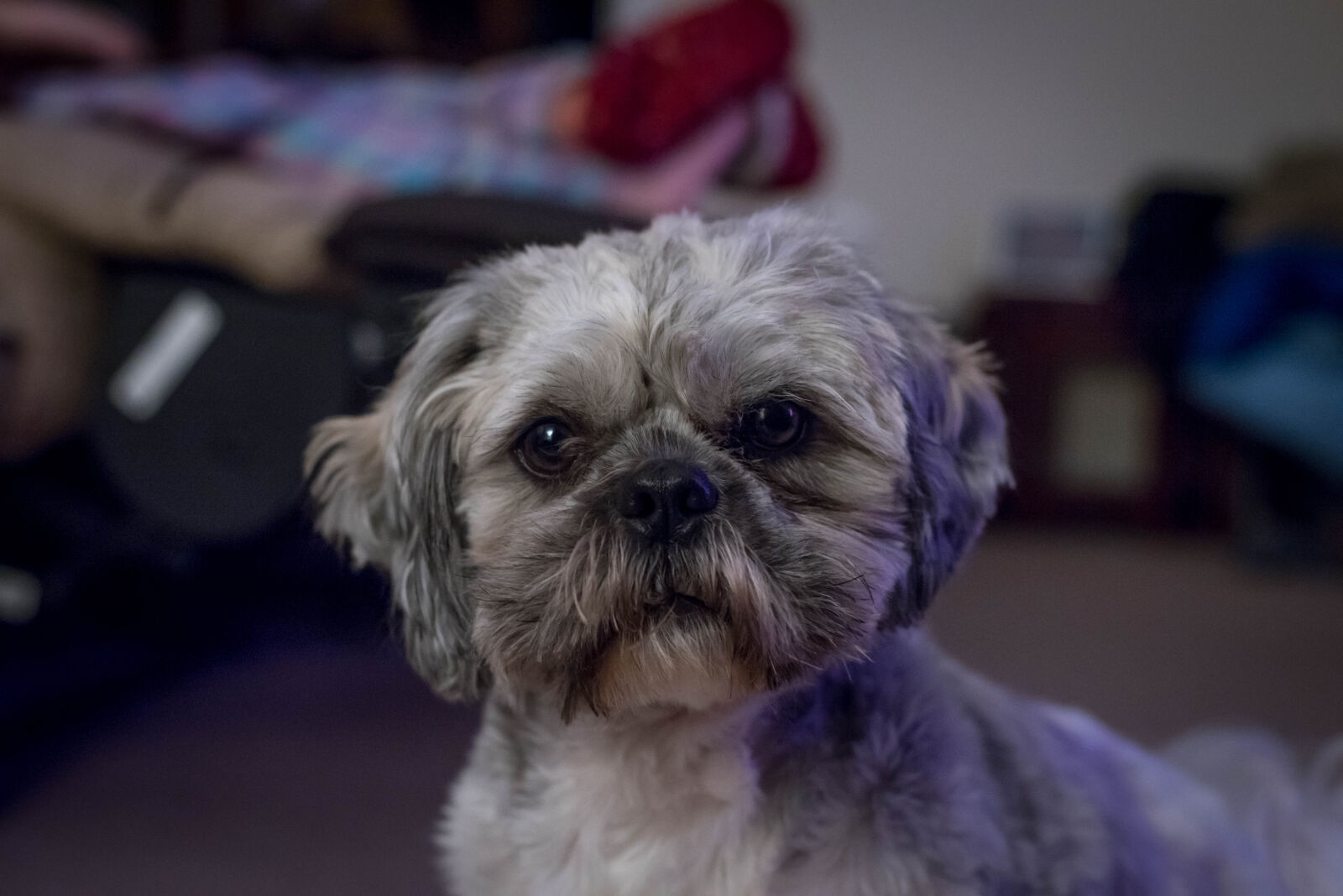 Nikon D750 + Nikon AF-S Nikkor 50mm F1.8G sample photo. Night photography