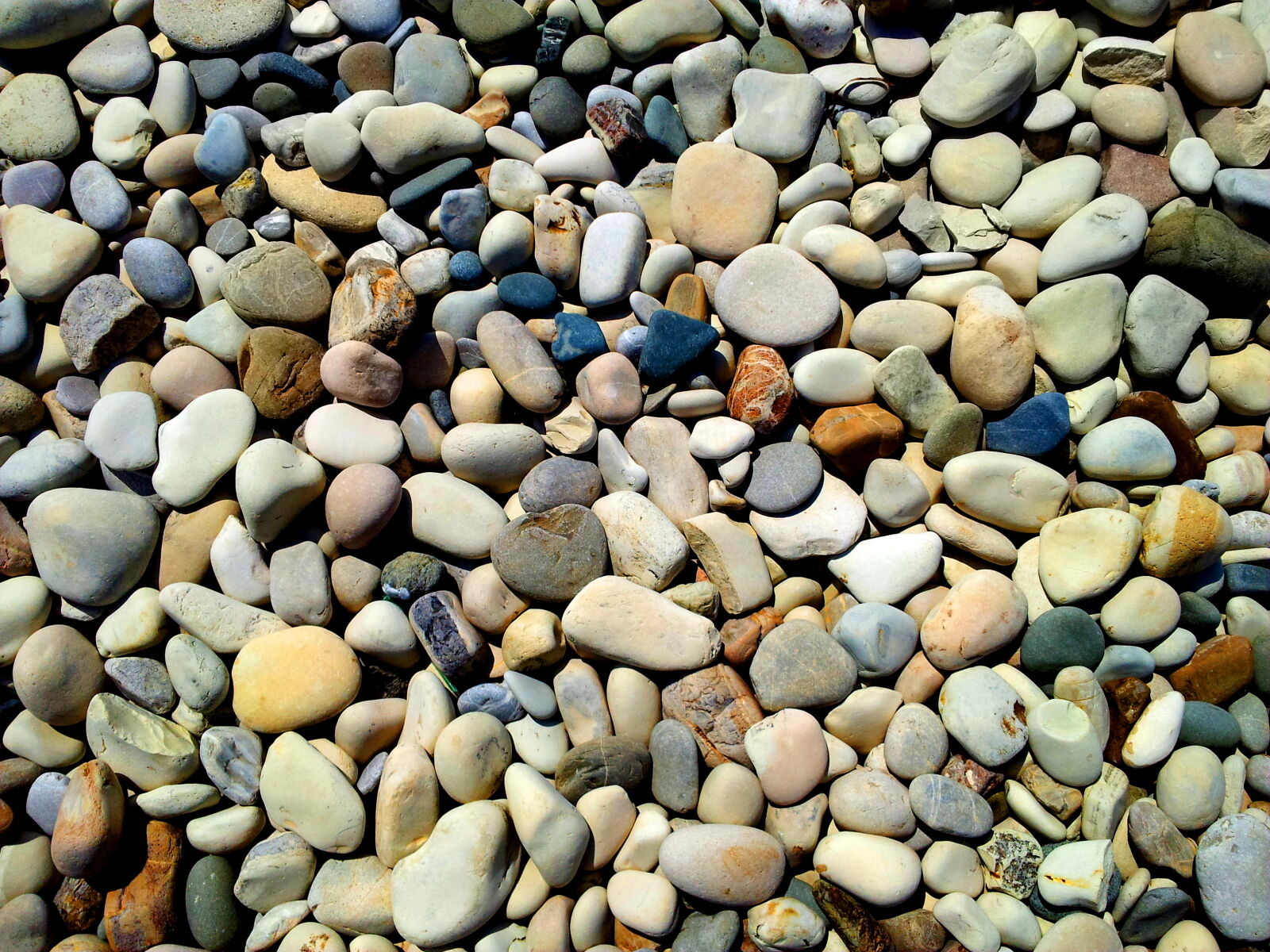 Samsung Galaxy S2 sample photo. Pebbles photography