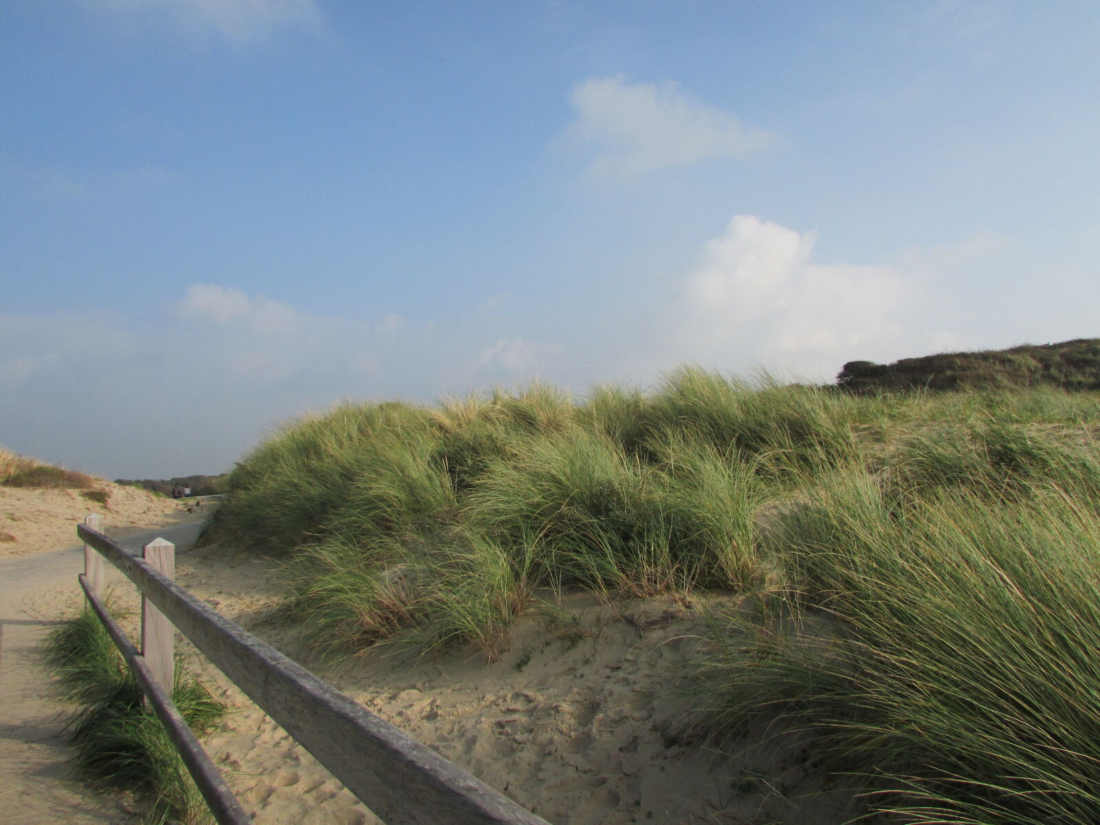 Canon PowerShot SX500 IS sample photo. Beach, blue, sky, dunes photography