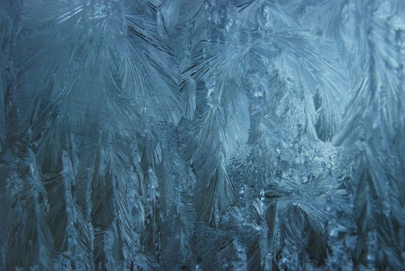 Nikon D80 sample photo. Ice, eiskristalle, window photography