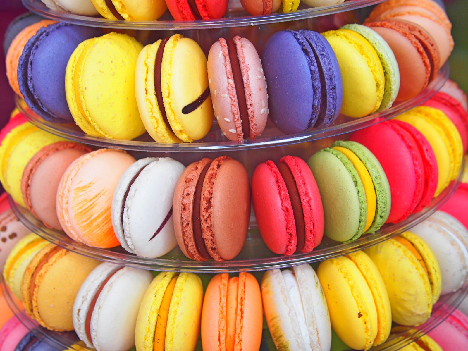 Olympus PEN E-PL1 sample photo. Color, macaroon, gourmet photography