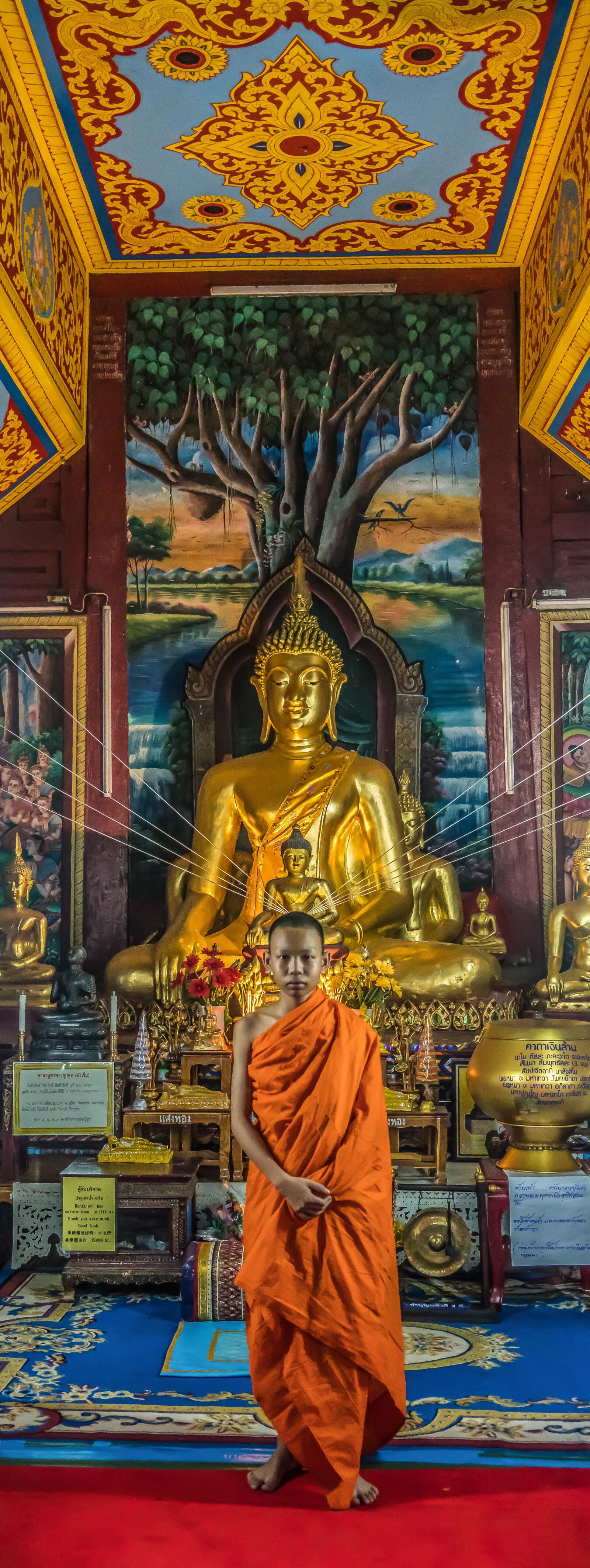 Sony a7R II + Sony FE 24-240mm F3.5-6.3 OSS sample photo. Monk, young, buddhism photography