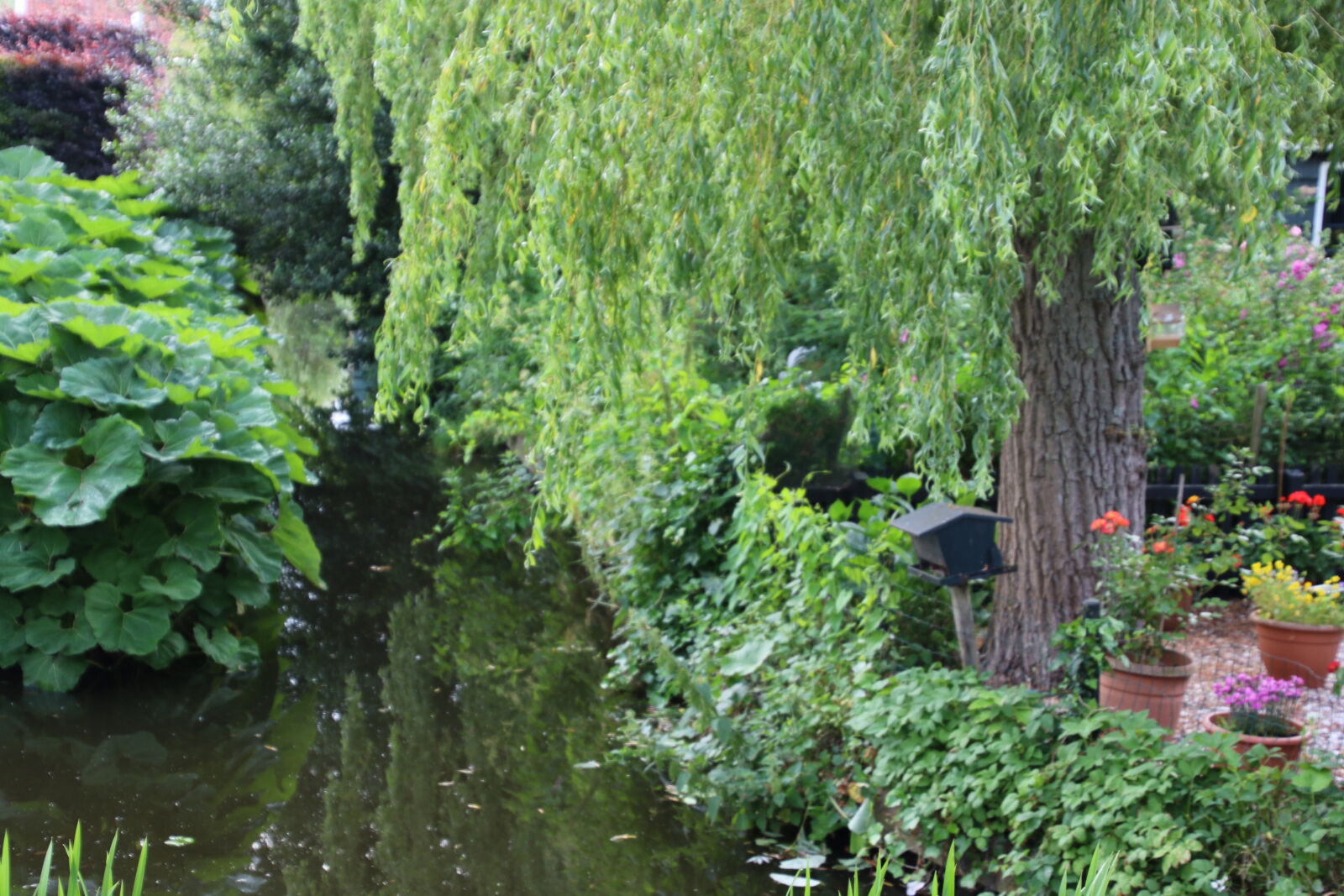 Canon EOS 7D Mark II sample photo. Garden, relax, river, stream photography