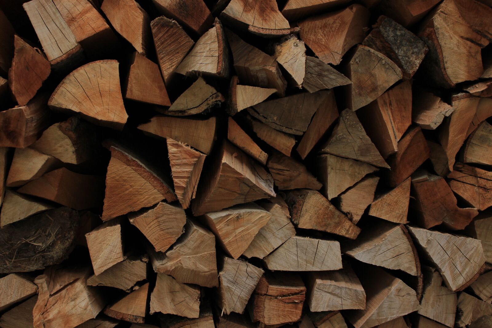 Canon EOS 100D (EOS Rebel SL1 / EOS Kiss X7) sample photo. Wood, background, lot photography