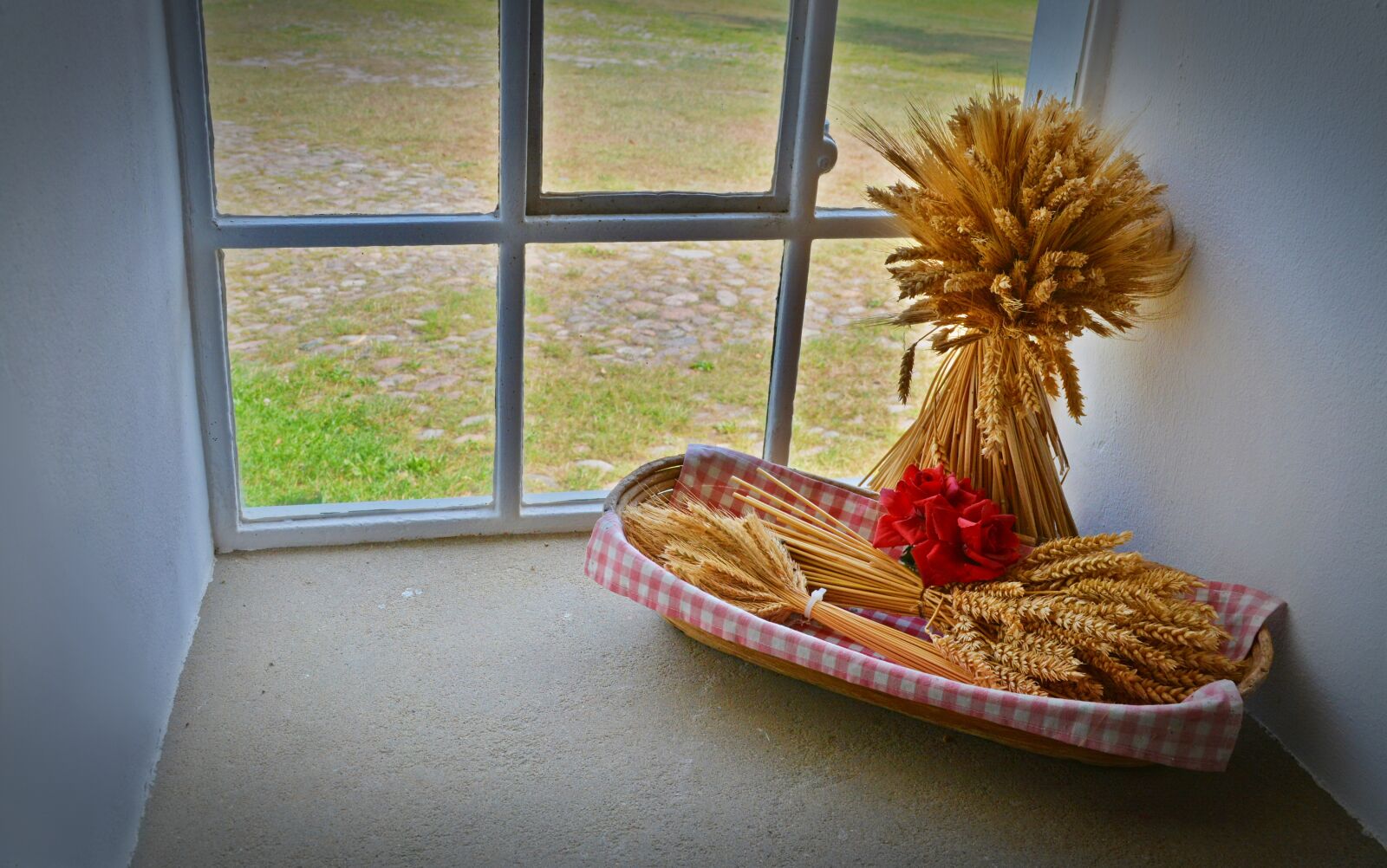 Nikon D5200 sample photo. Decoration, window, cereals photography
