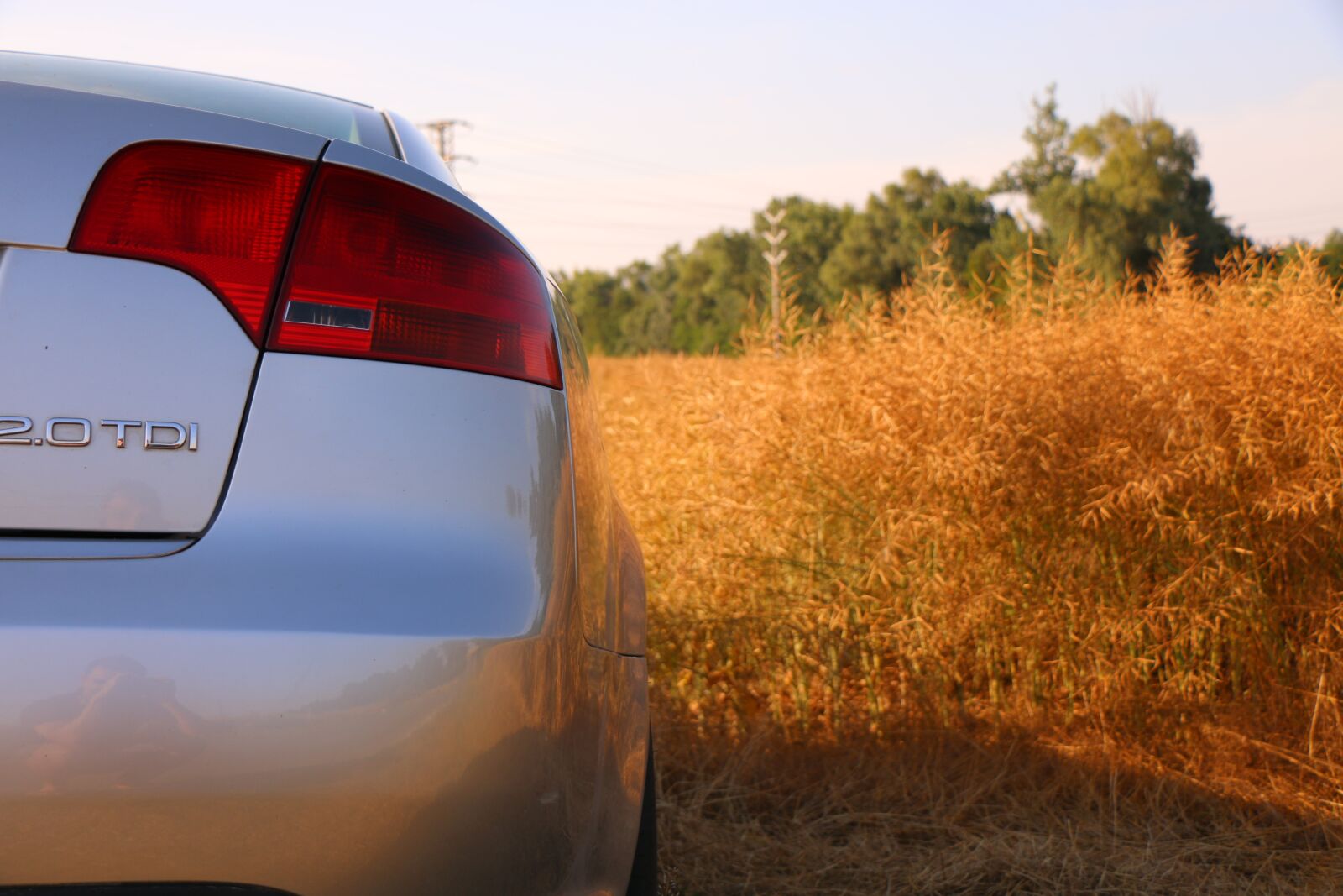 Canon EOS 70D sample photo. Car, audi, field photography