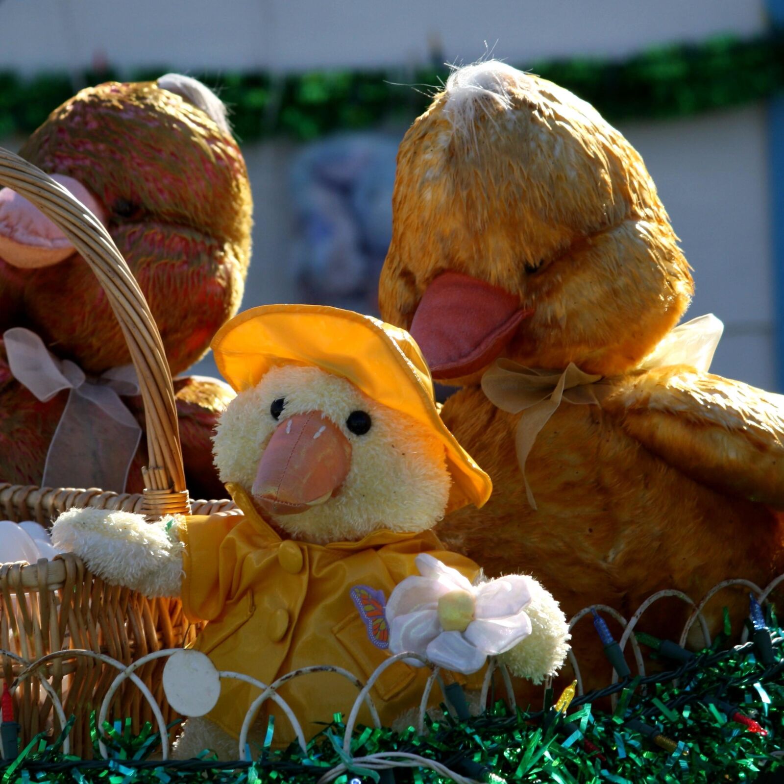 f/4-5.6 IS II sample photo. Easter decorations, chick, raincoat photography
