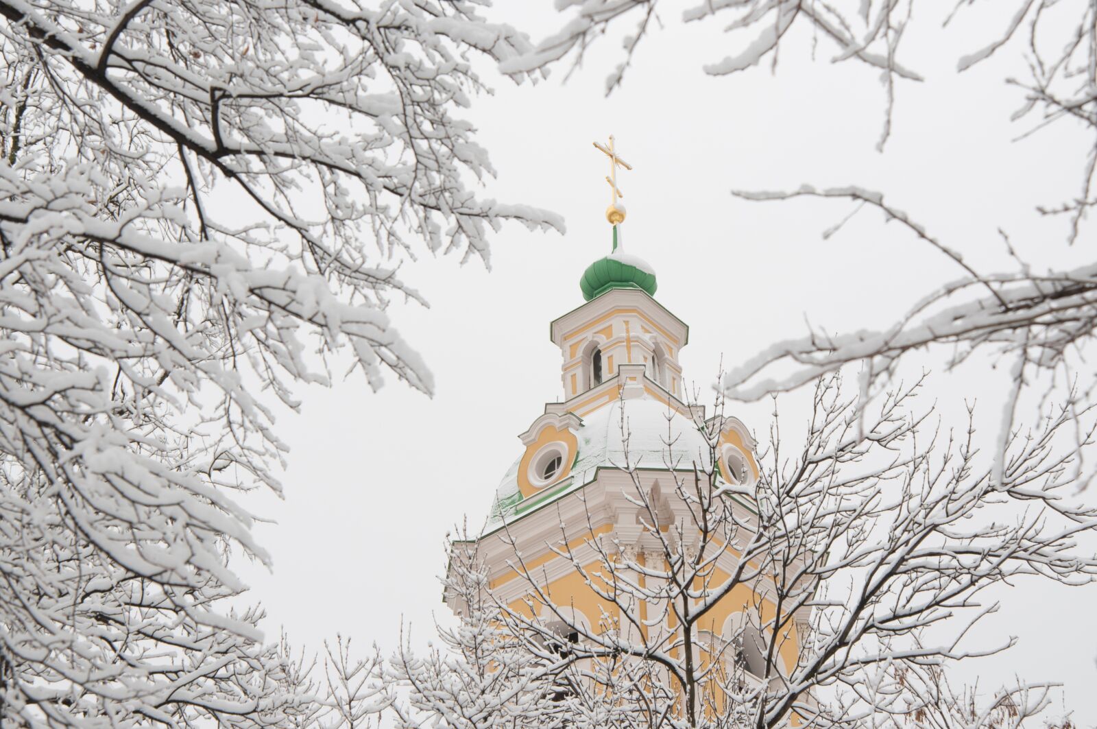 Nikon D300S sample photo. Winter, snow, tree photography