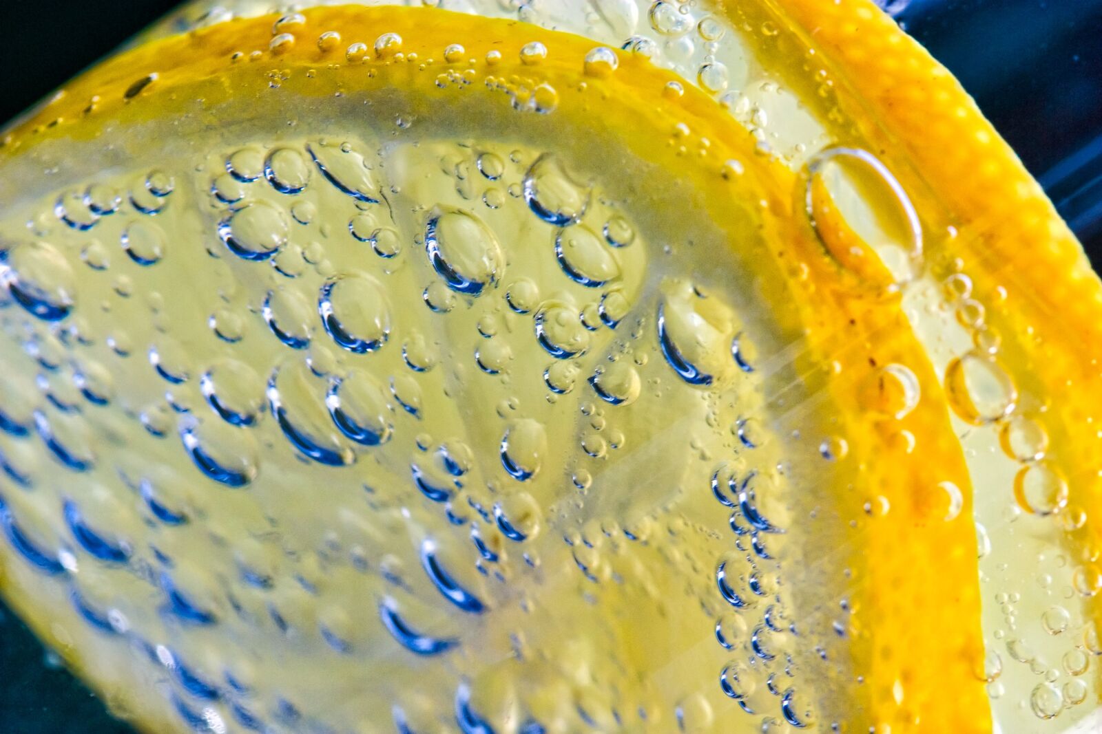 Canon EOS D60 sample photo. Macro, close up, lemon photography