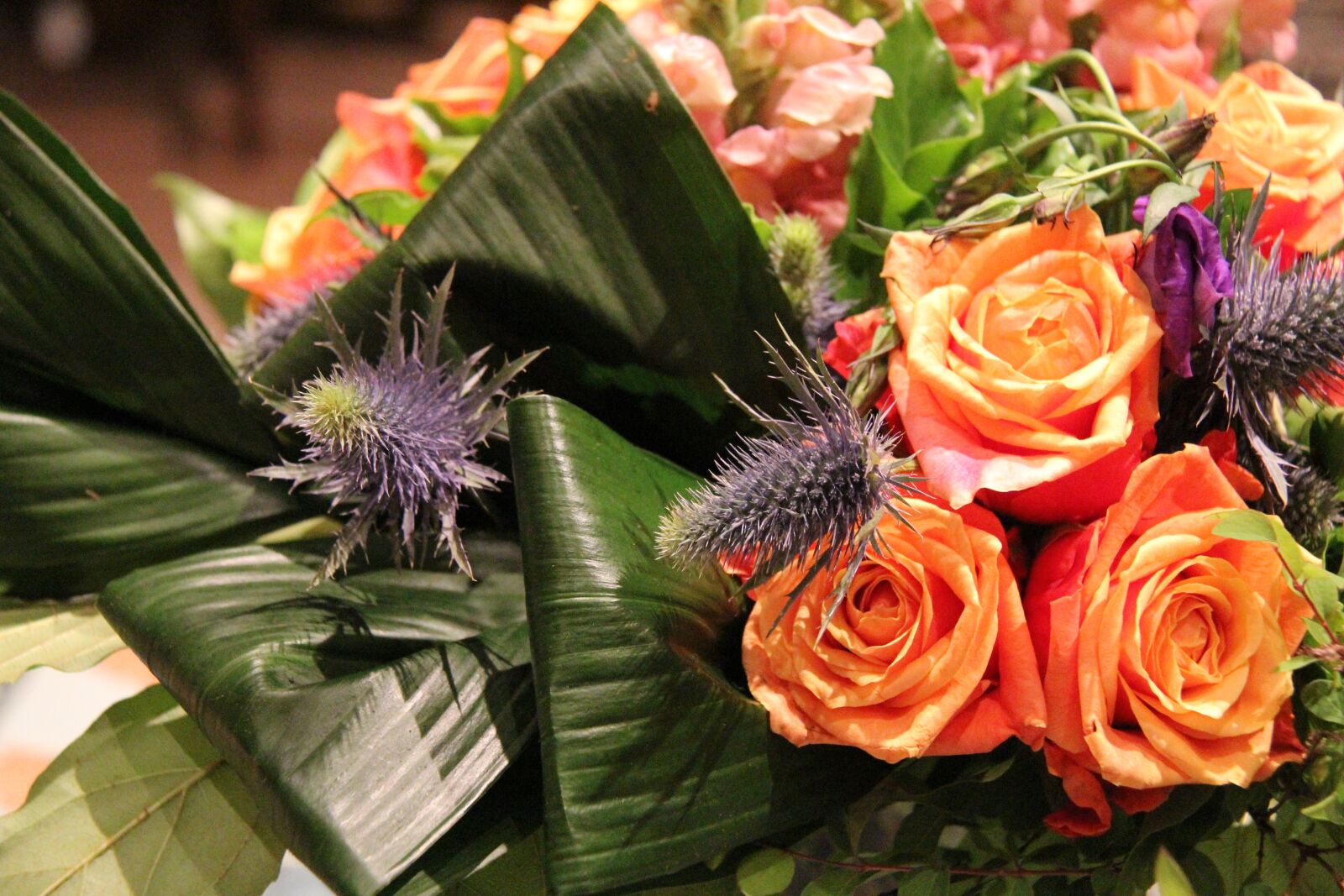 Canon EOS 550D (EOS Rebel T2i / EOS Kiss X4) sample photo. Flower, roses, bouquet photography