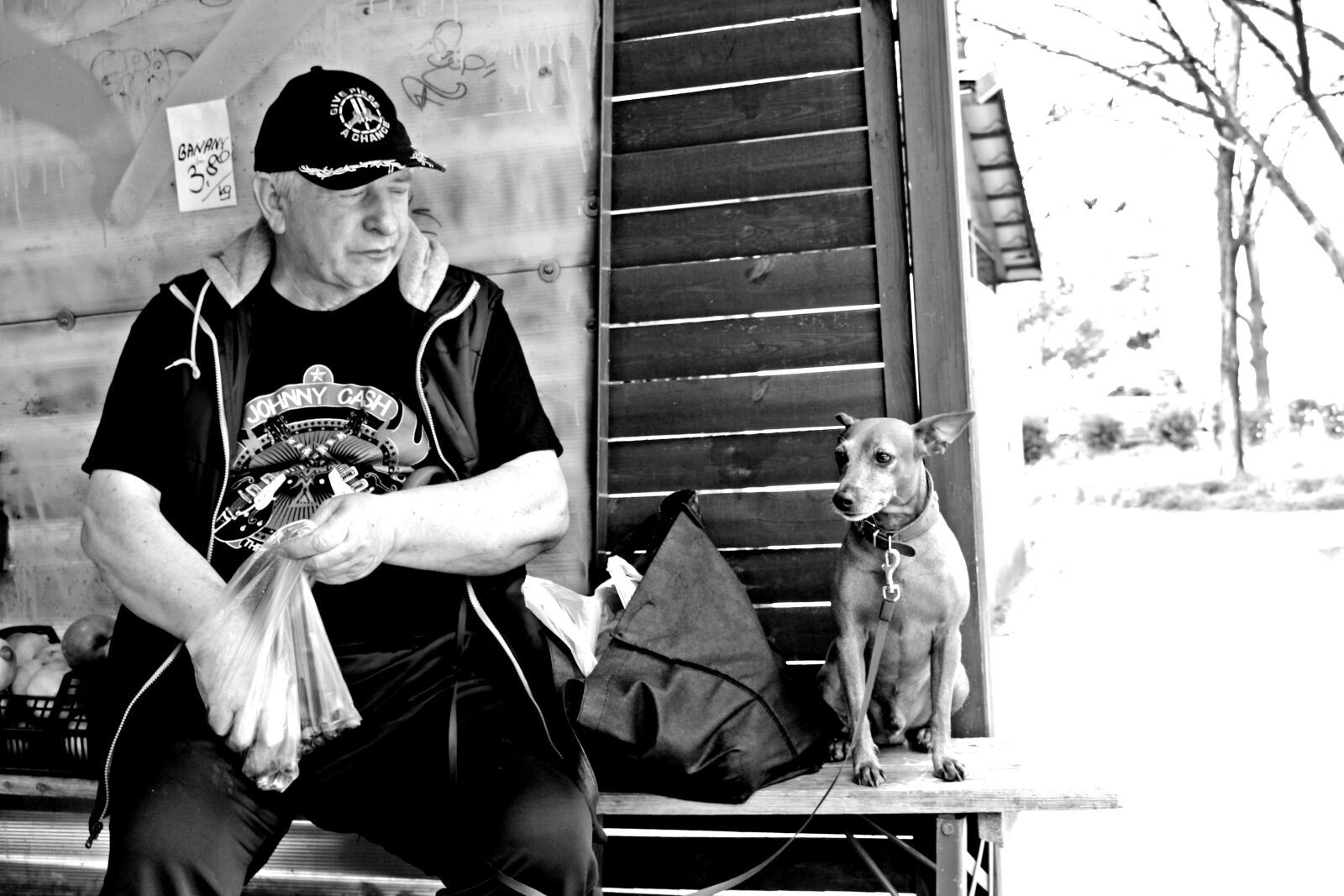 Canon EOS 700D (EOS Rebel T5i / EOS Kiss X7i) sample photo. Friend, together, dog photography