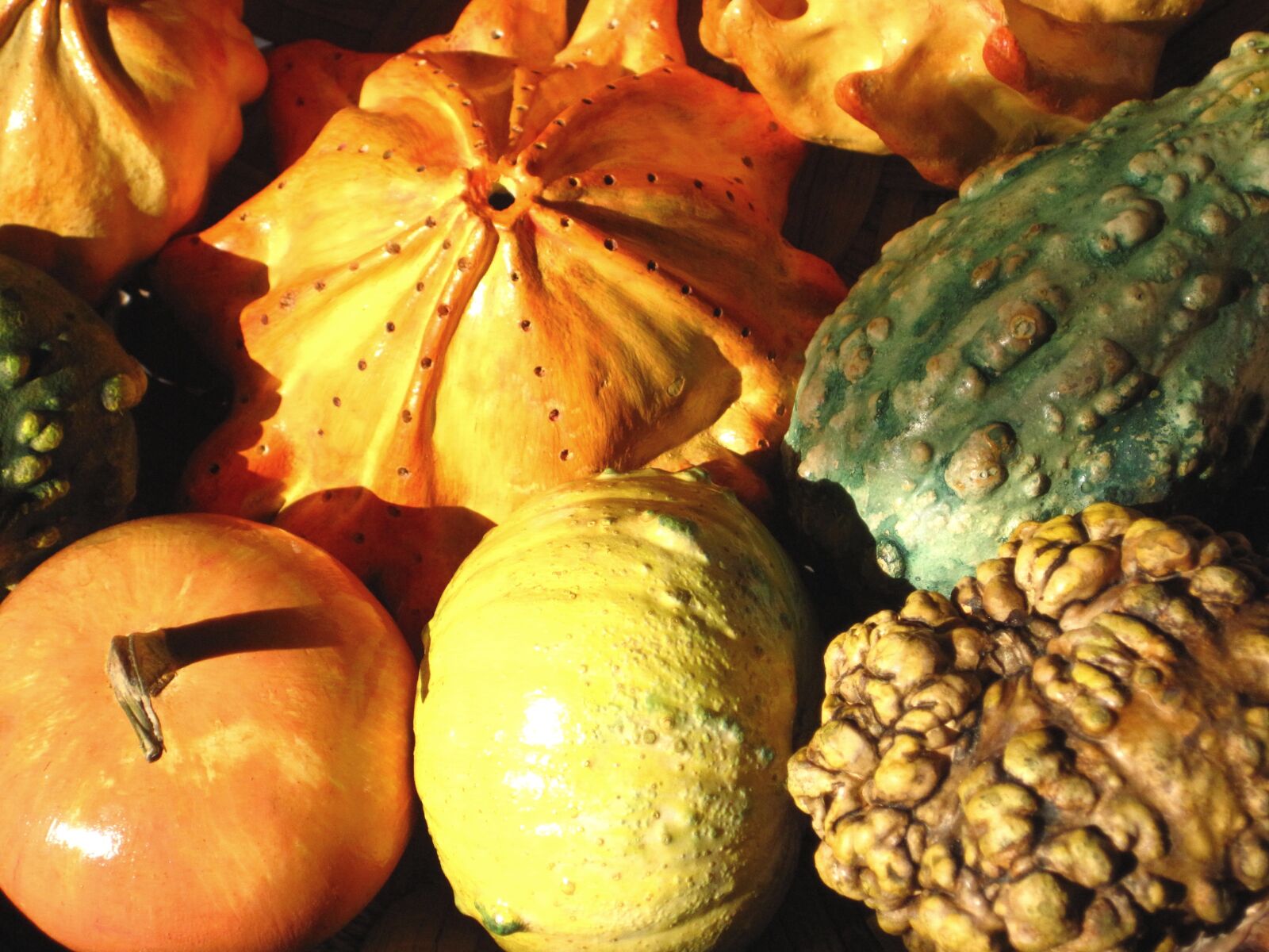 Canon PowerShot SD1200 IS (Digital IXUS 95 IS / IXY Digital 110 IS) sample photo. Decorative squashes, pumpkins, autumn photography