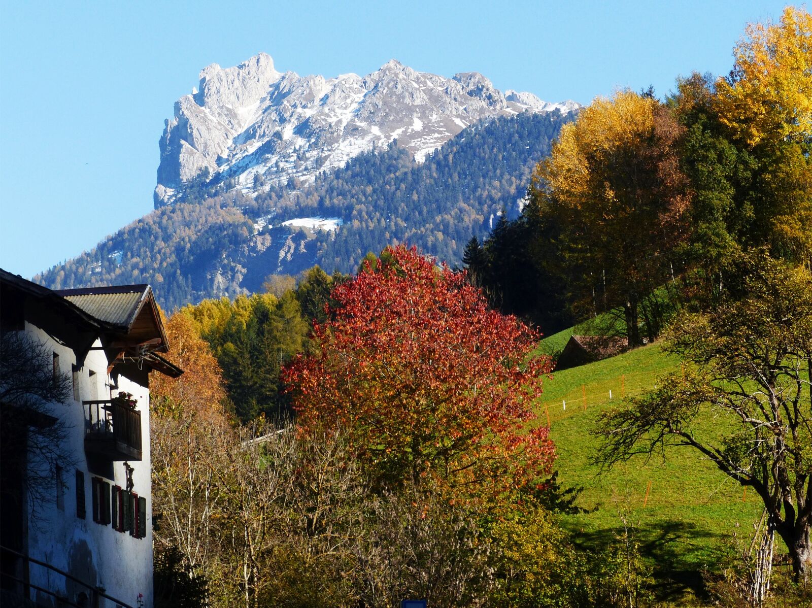 Panasonic Lumix DMC-FZ200 sample photo. Geisler acute, dolomites, autumn photography