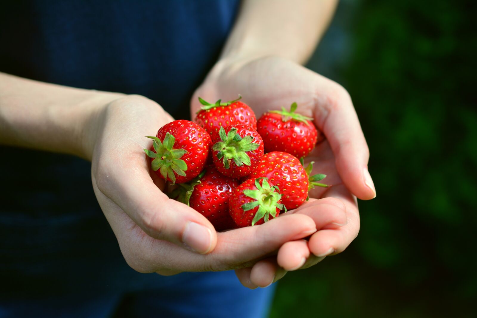 Nikon D5200 sample photo. Strawberries, fruits, hands photography