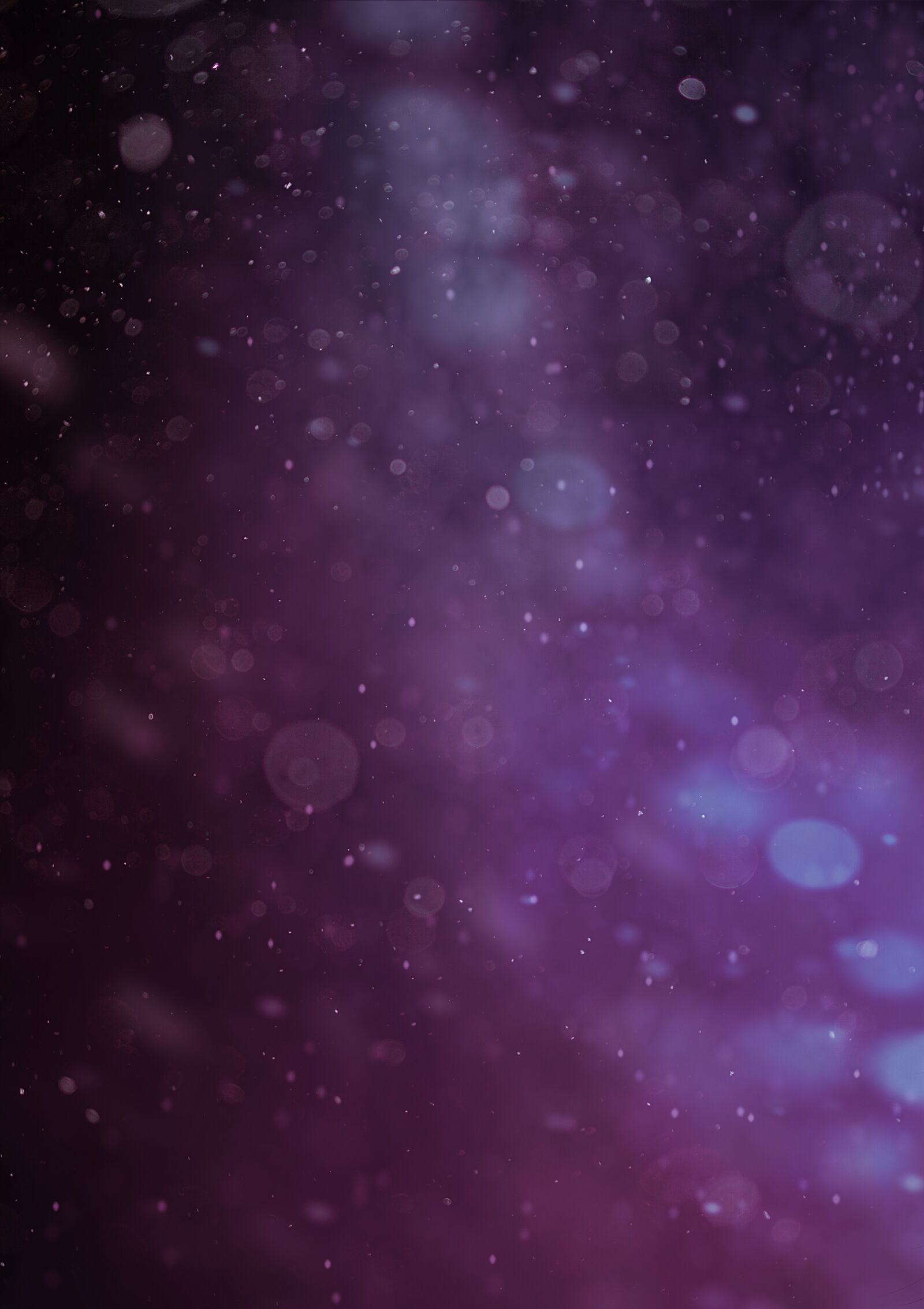 Nikon D800 sample photo. Abstract, purple, pattern photography
