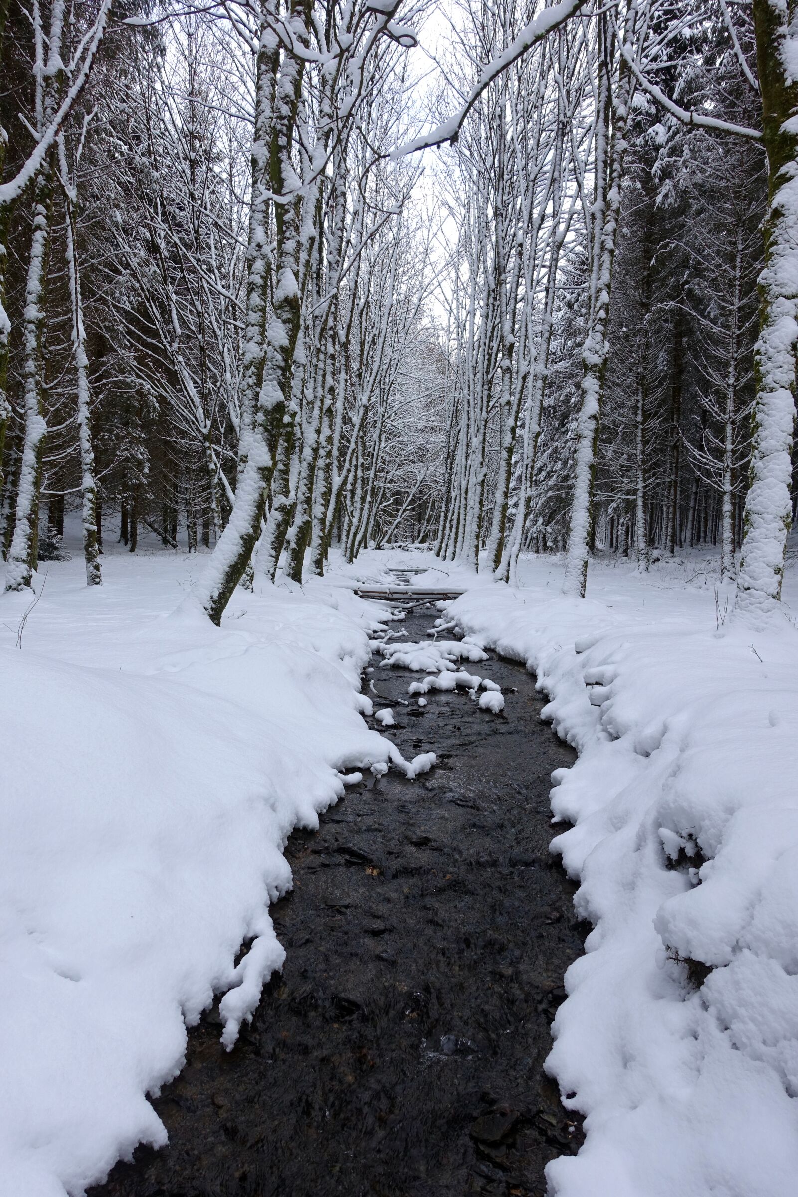 Sony Cyber-shot DSC-RX100 III sample photo. Snow, white, winter landscape photography