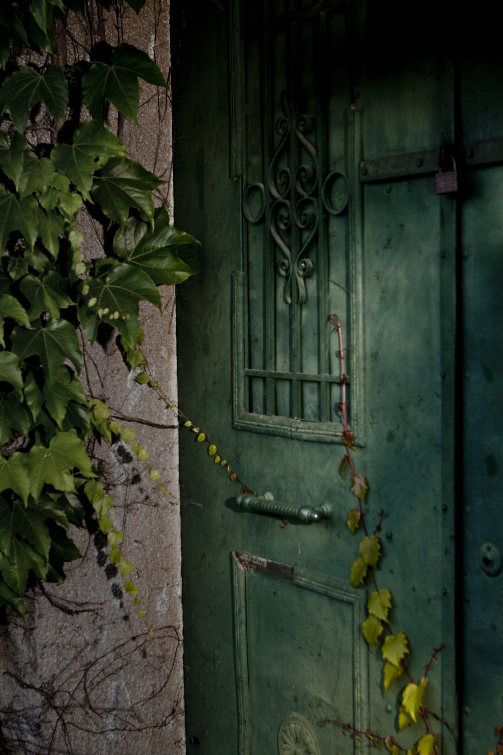 Canon EOS 50D sample photo. Mysterious, doorway, mausoleum photography