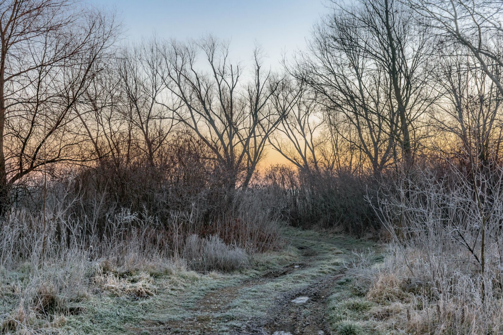 Nikon D5300 sample photo. Winter, river, nature photography